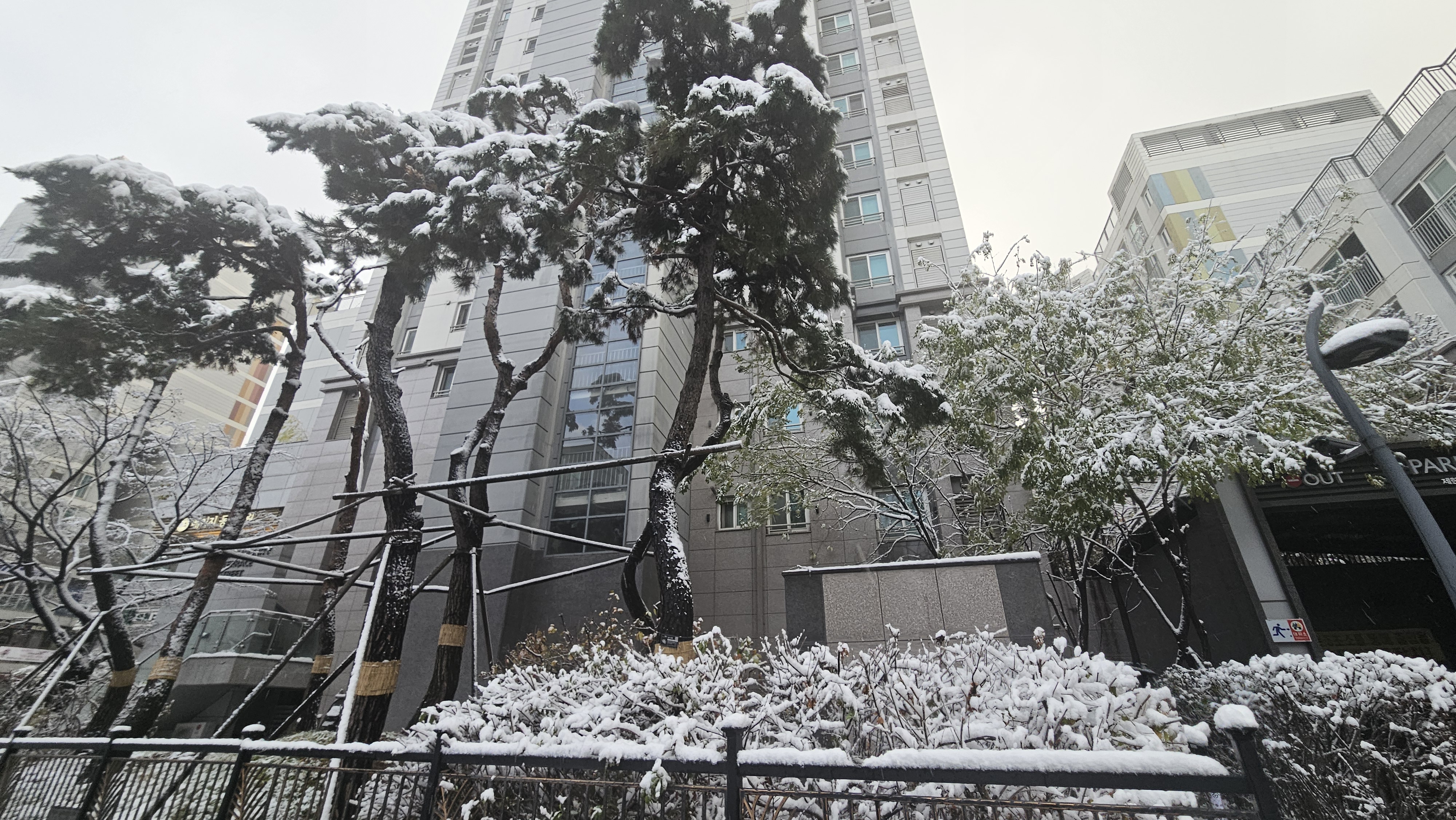 센트라스탑공인중개사사무소