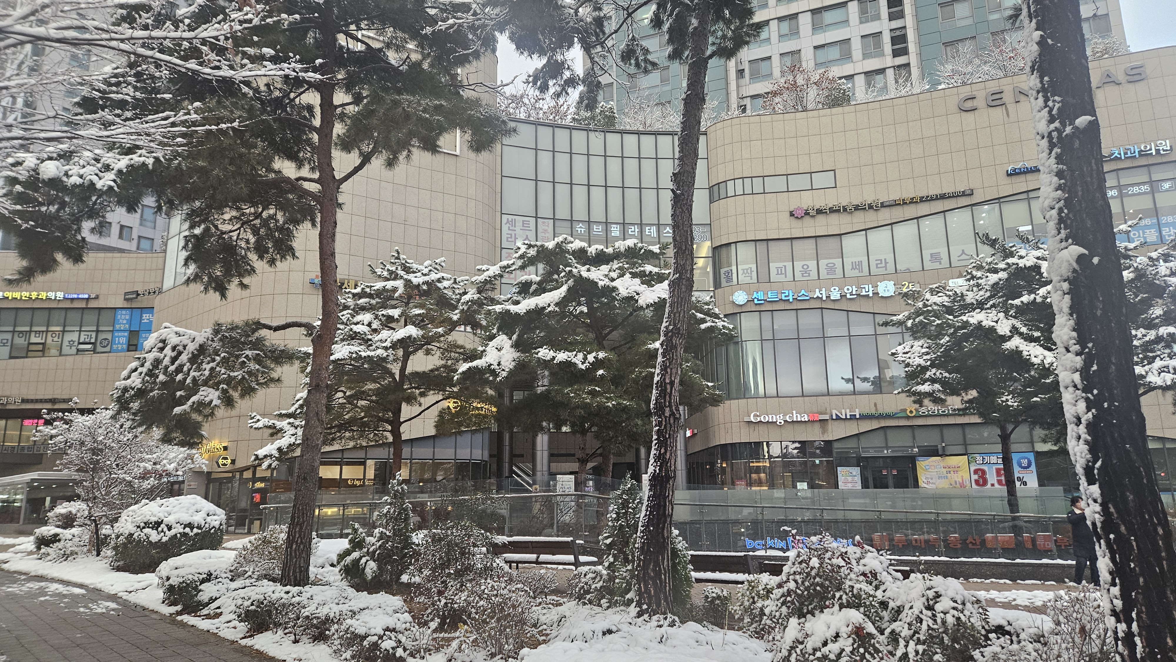 센트라스탑공인중개사사무소