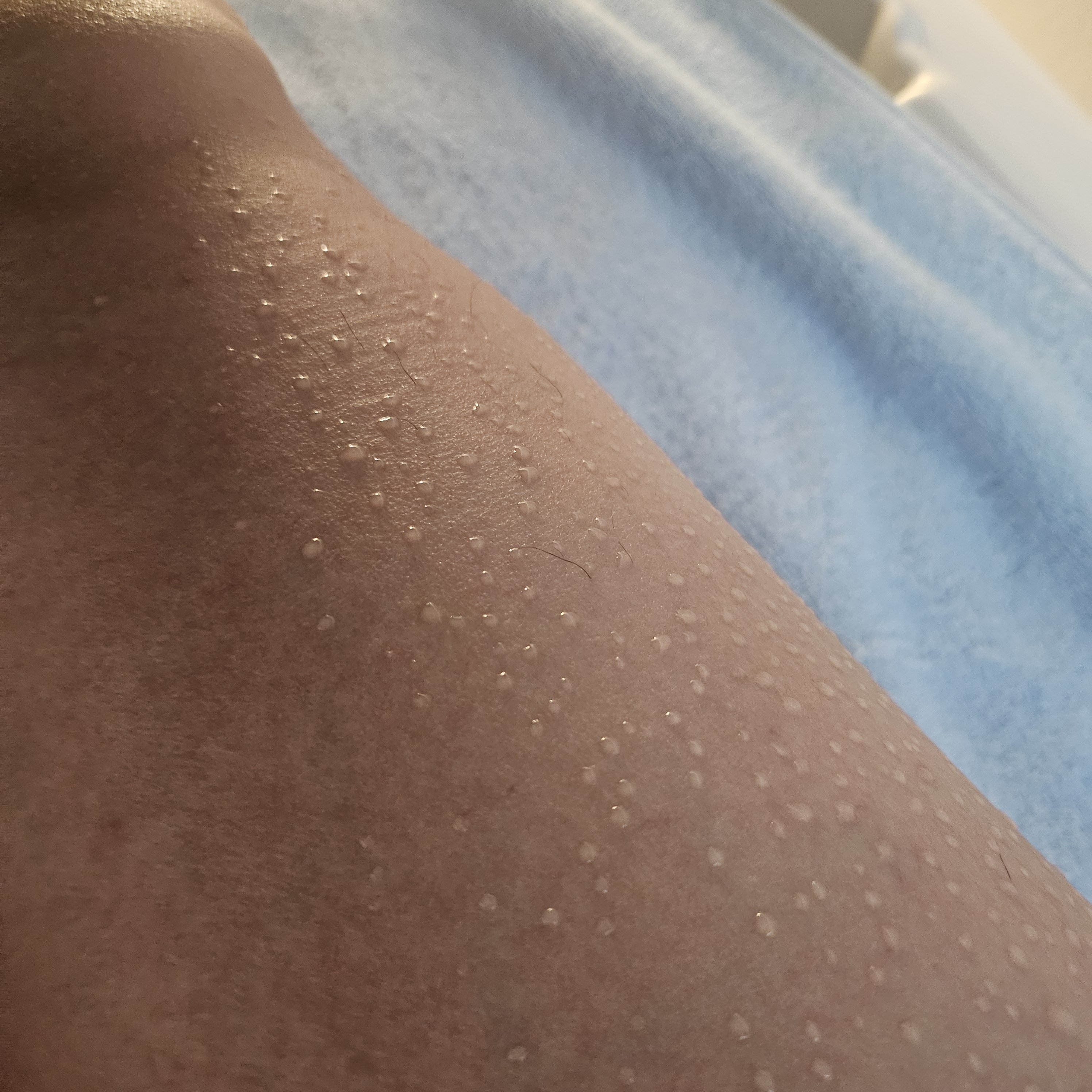 셀포랩 아리핏 photo 6
