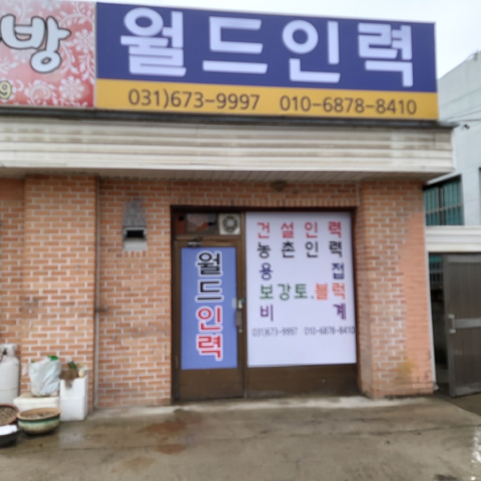 월드인력
