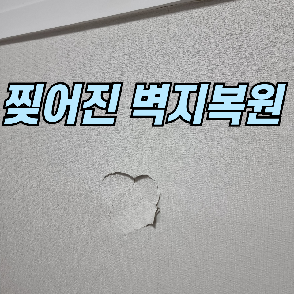 대성집수리