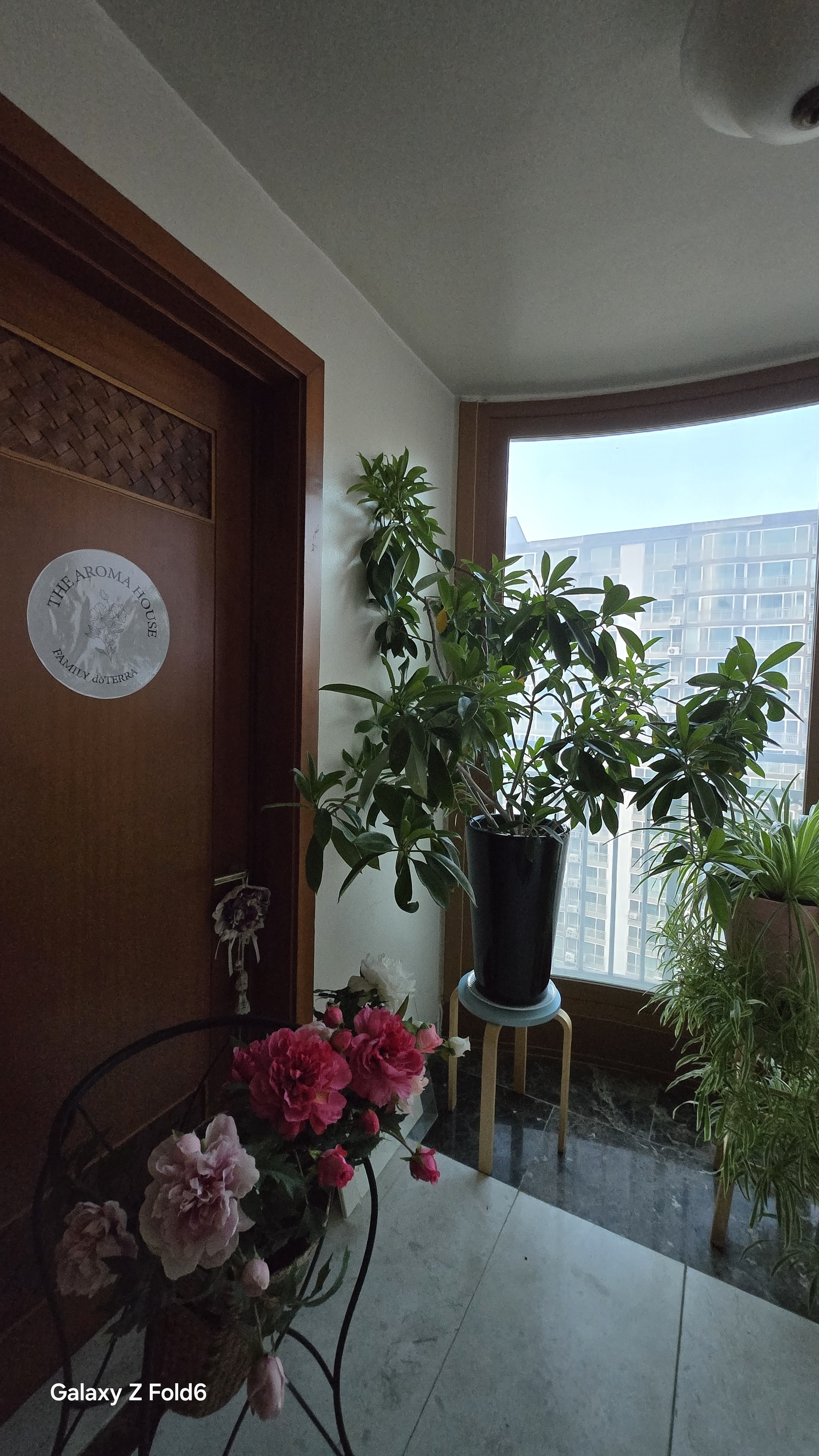 도테라리커버리센터 photo 5