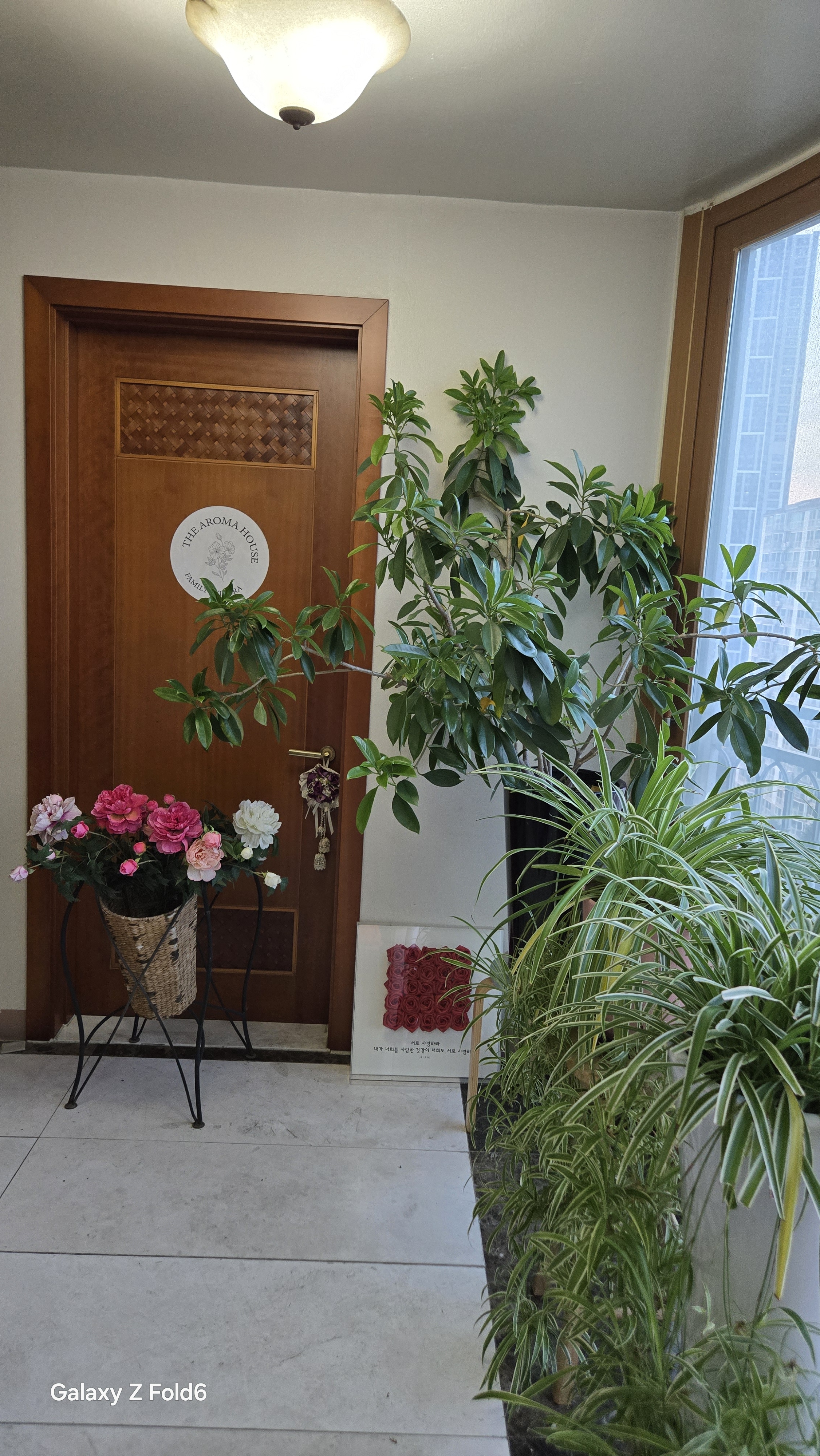 도테라리커버리센터 photo 2
