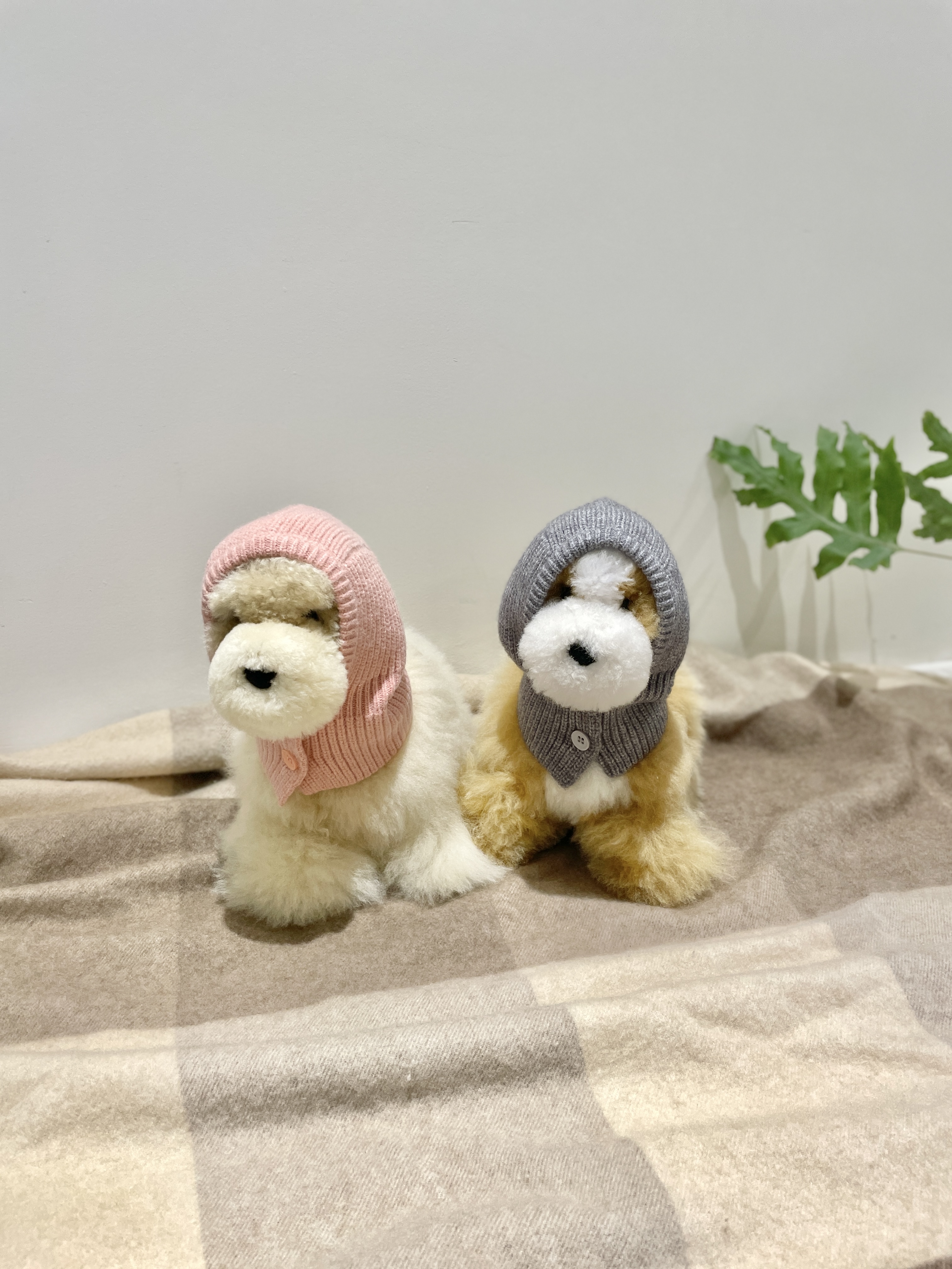 안나 대표 이미지