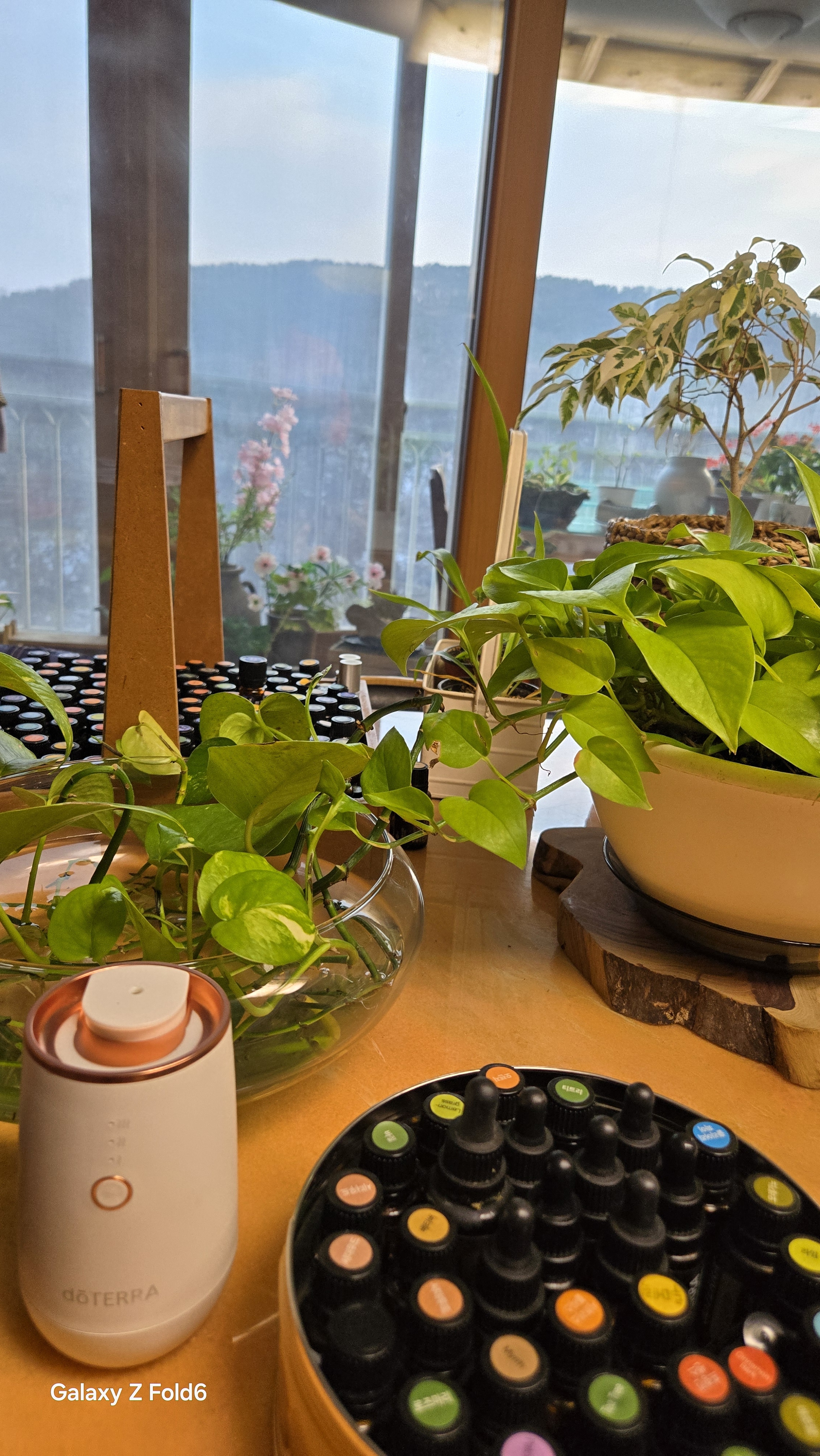 도테라리커버리센터 photo 7