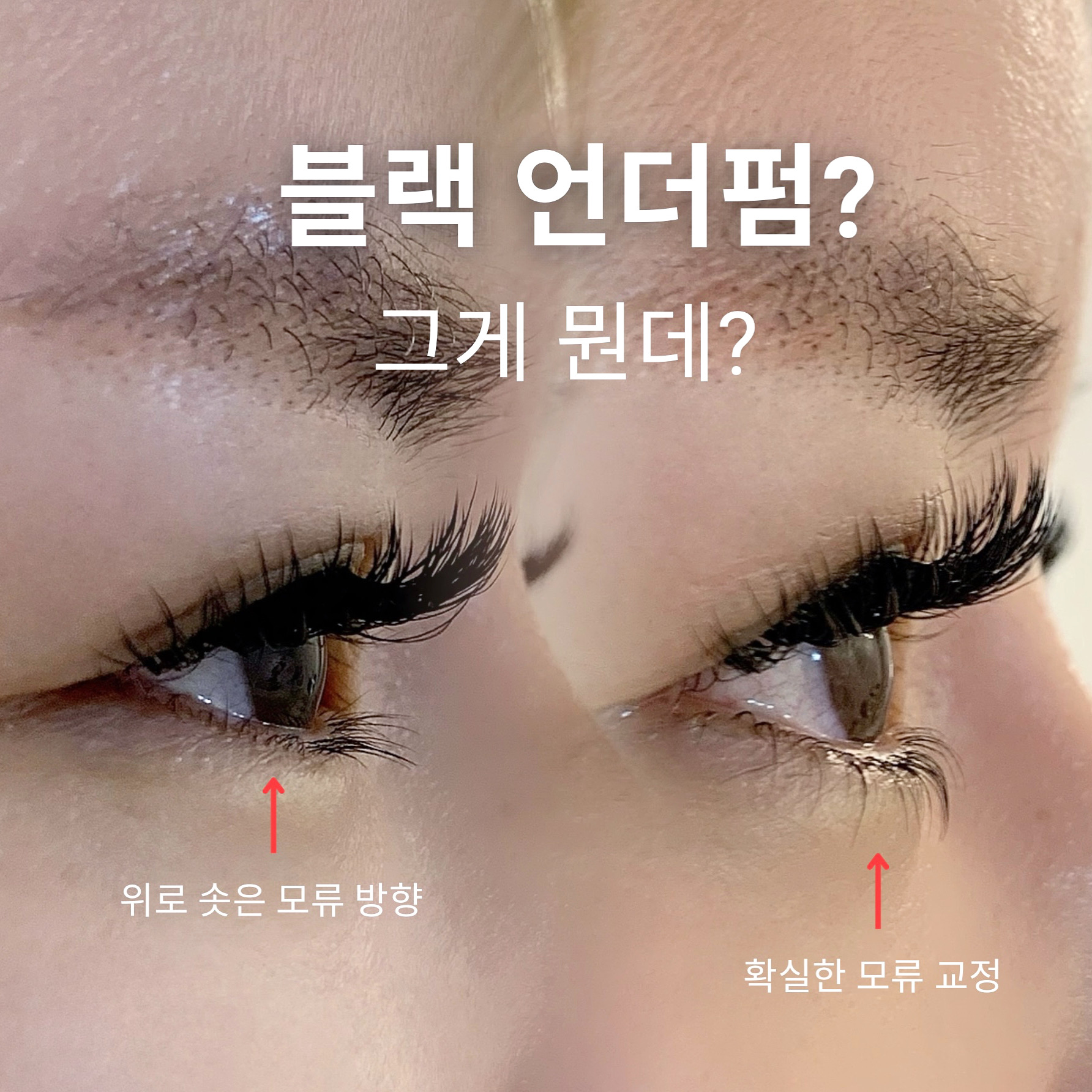 다봄