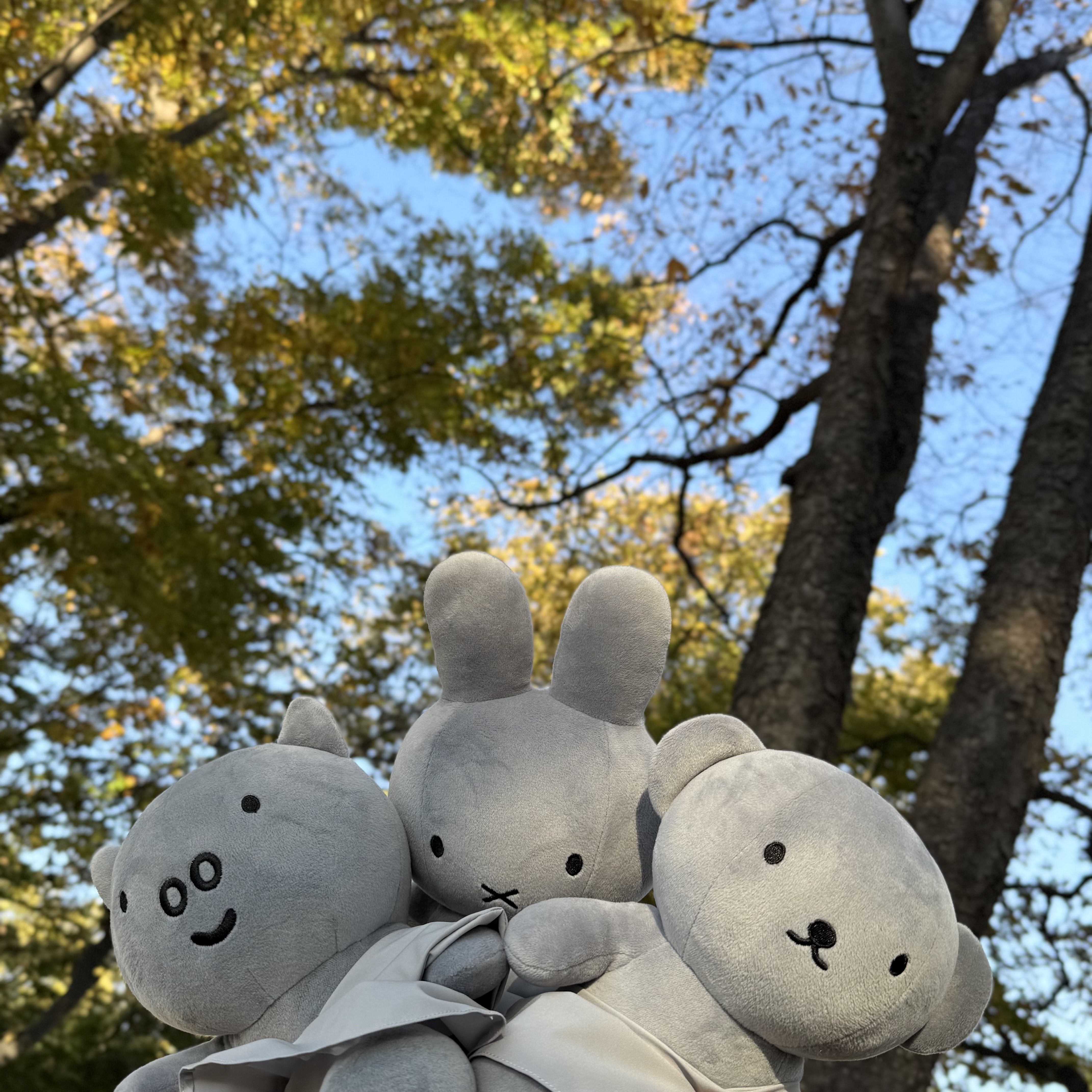 미피스토어 대표 이미지