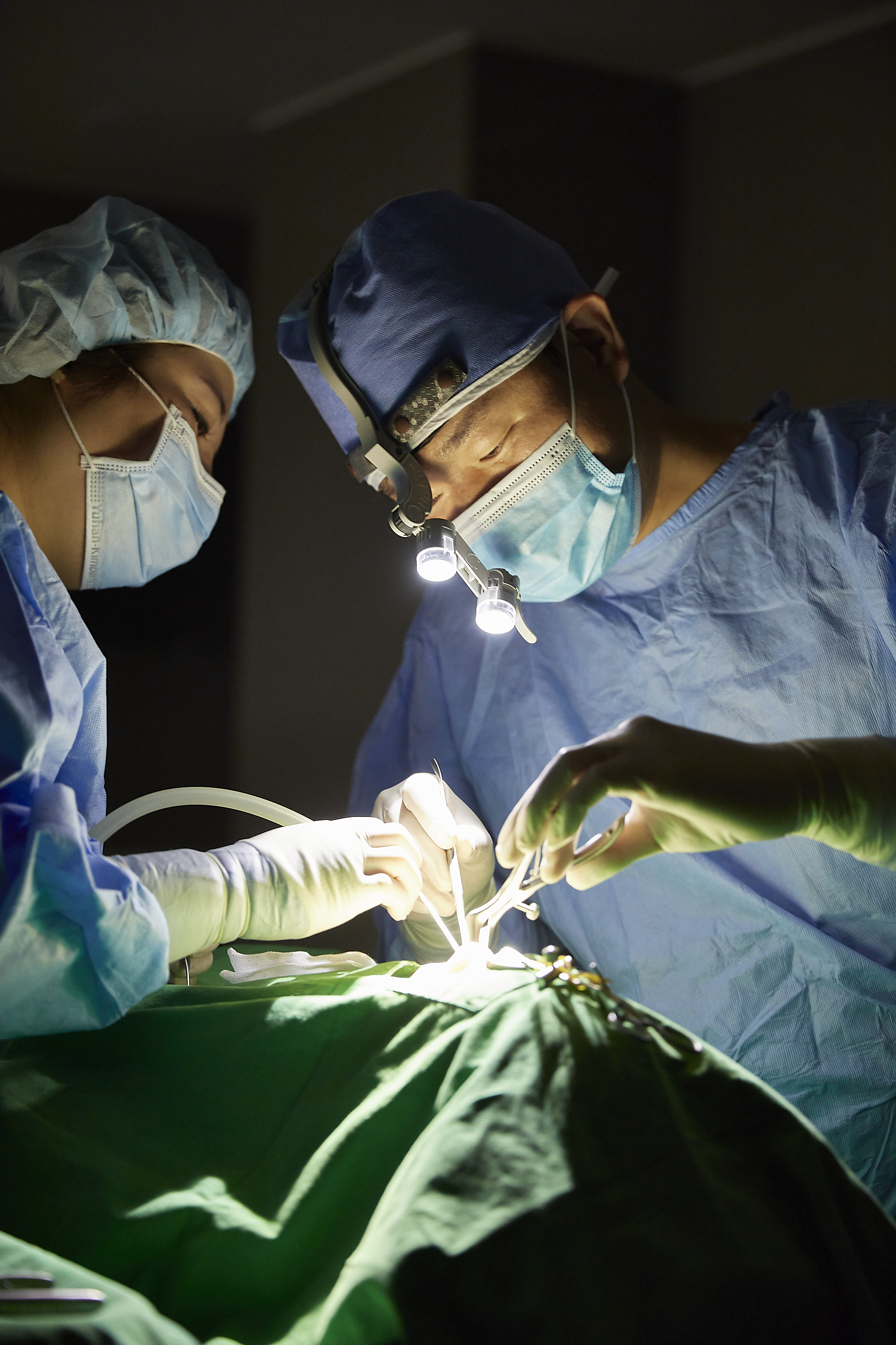 제이이비인후과 대표 이미지