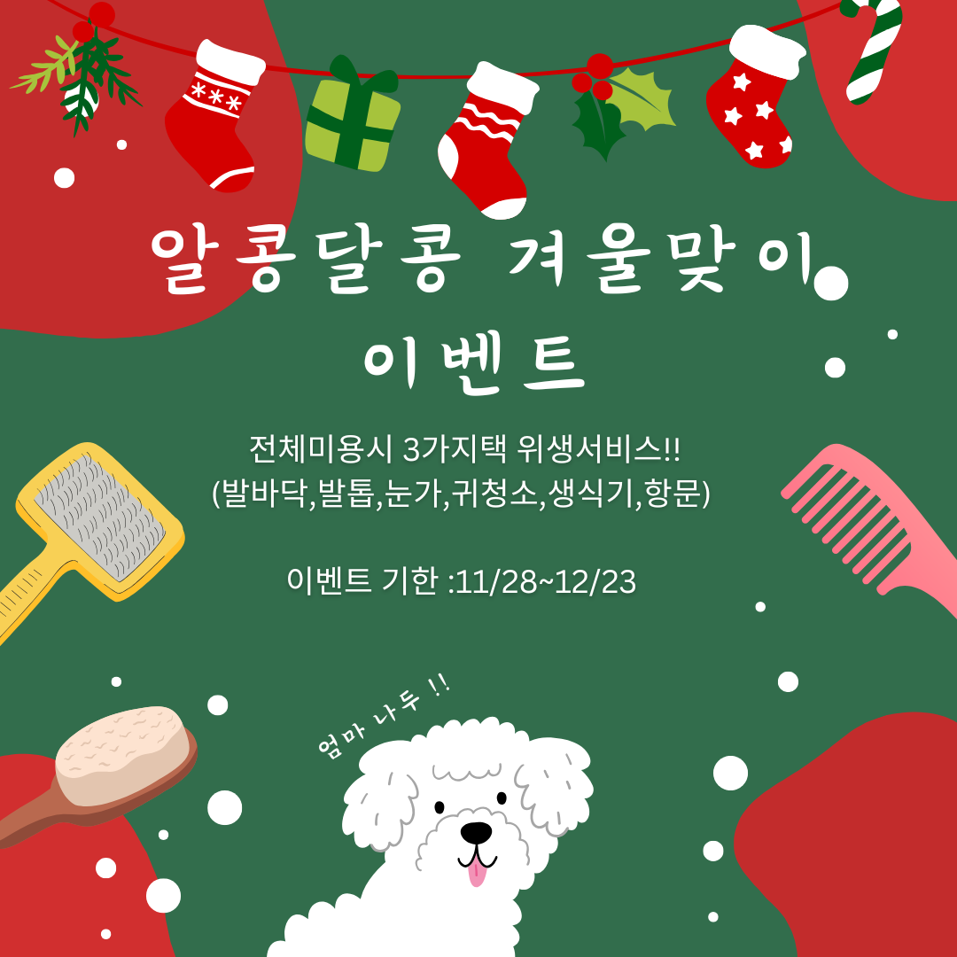 알콩달콩애견미용실 대표 이미지