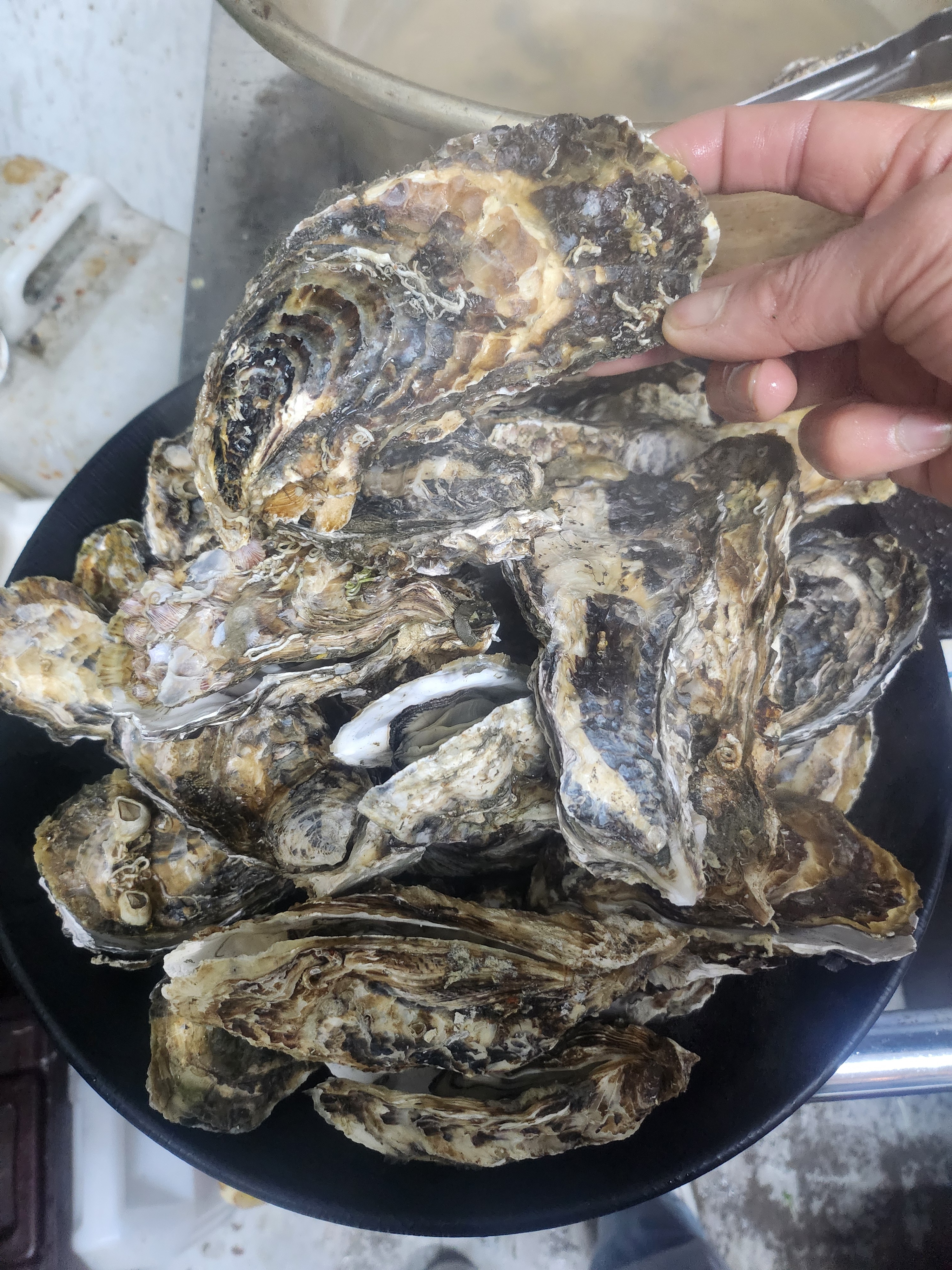 금딸네 포차
