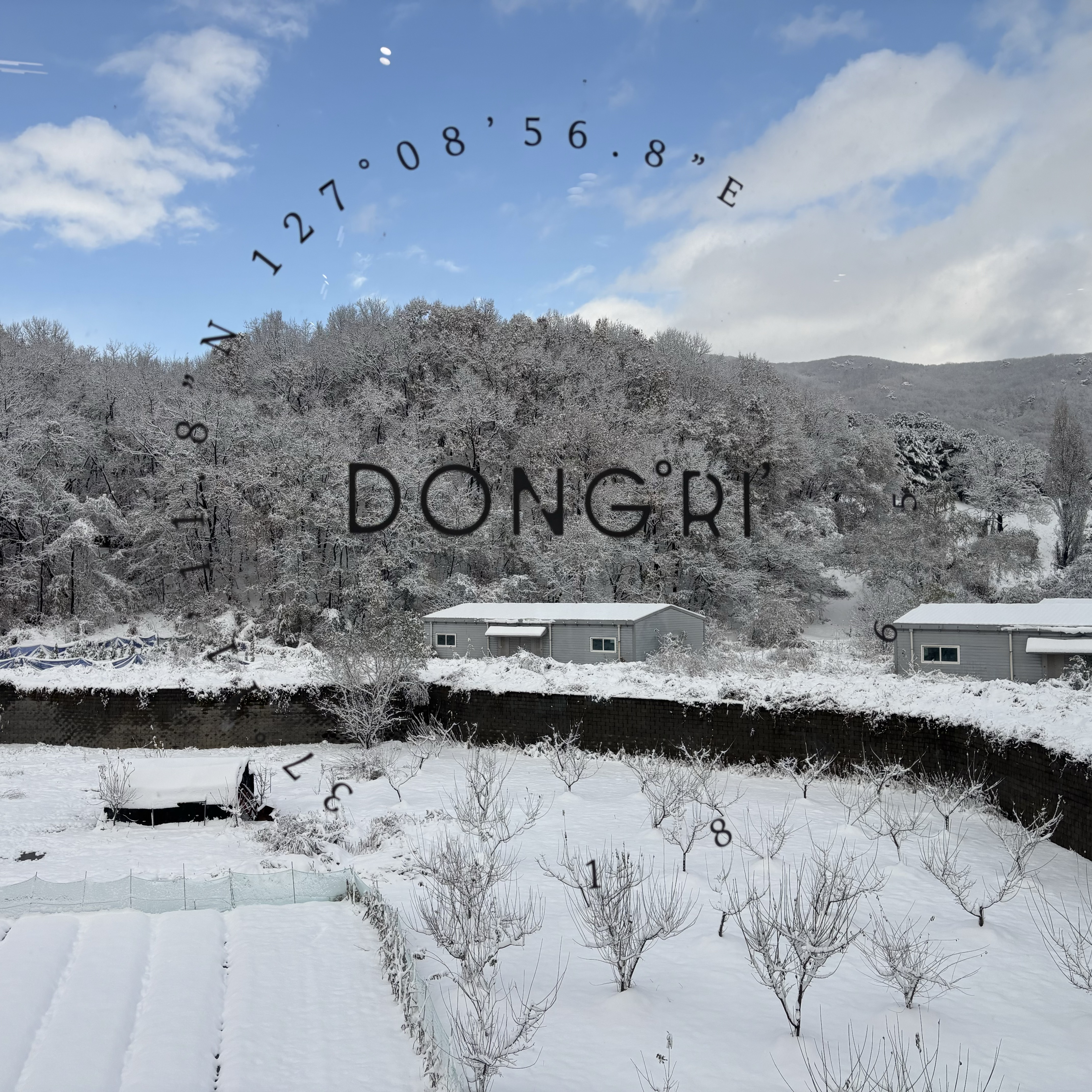 카페동리