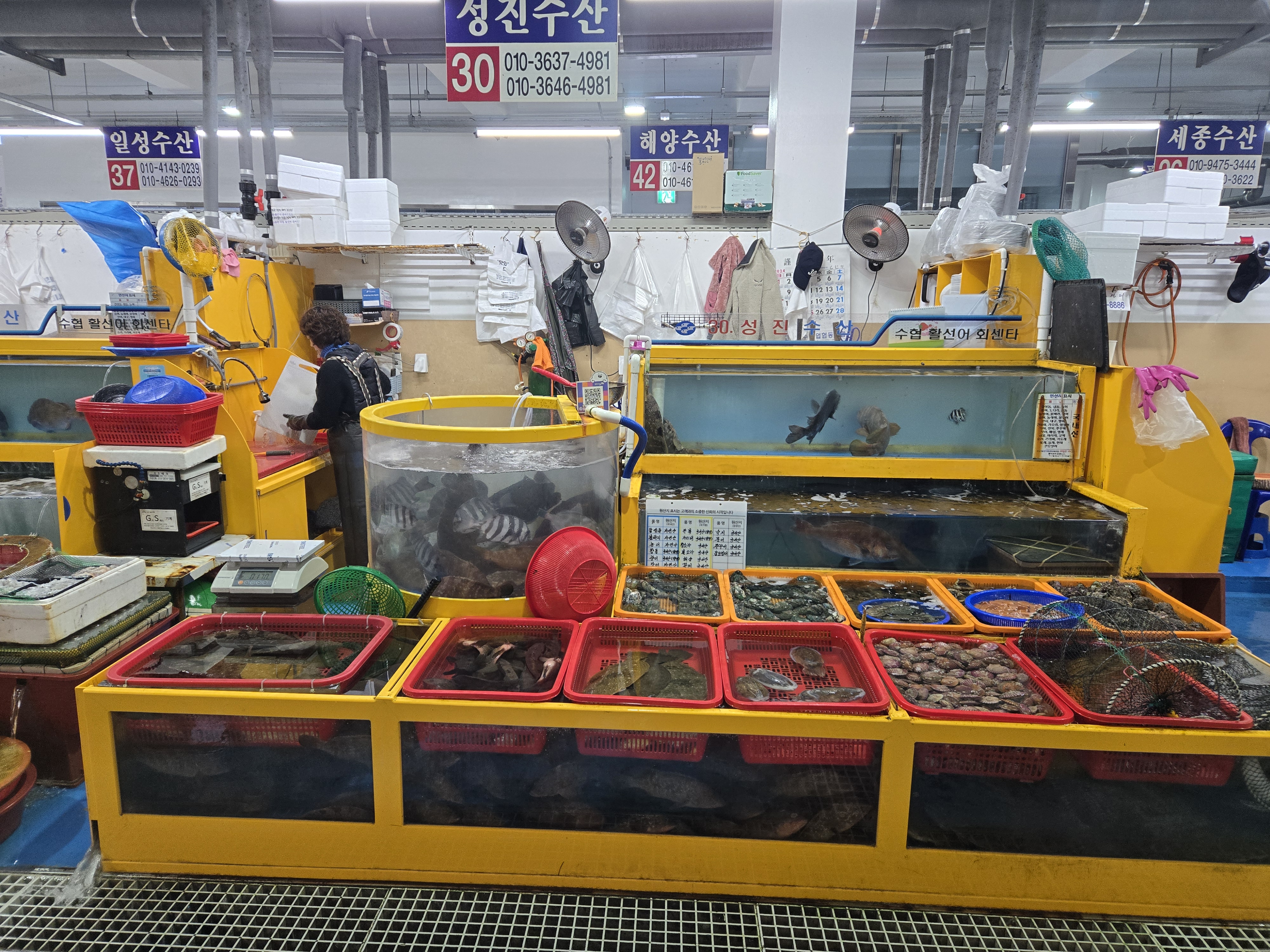 성진수산