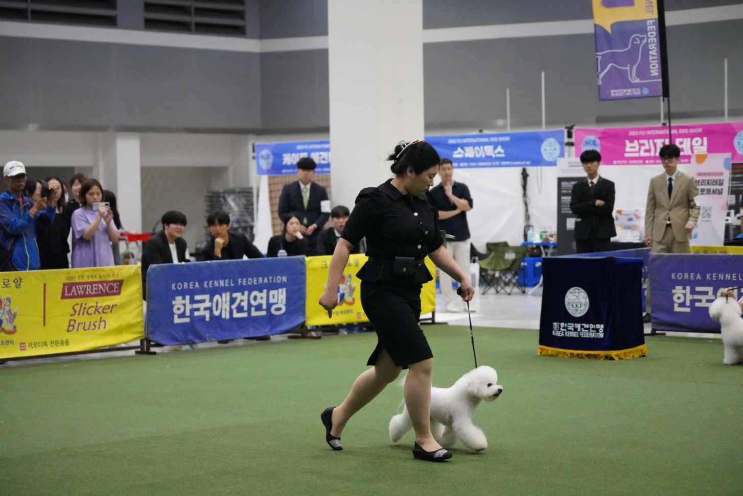 보람그루밍 대표 이미지