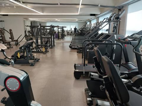 골드짐피트니스