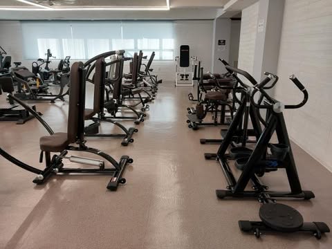 골드짐피트니스