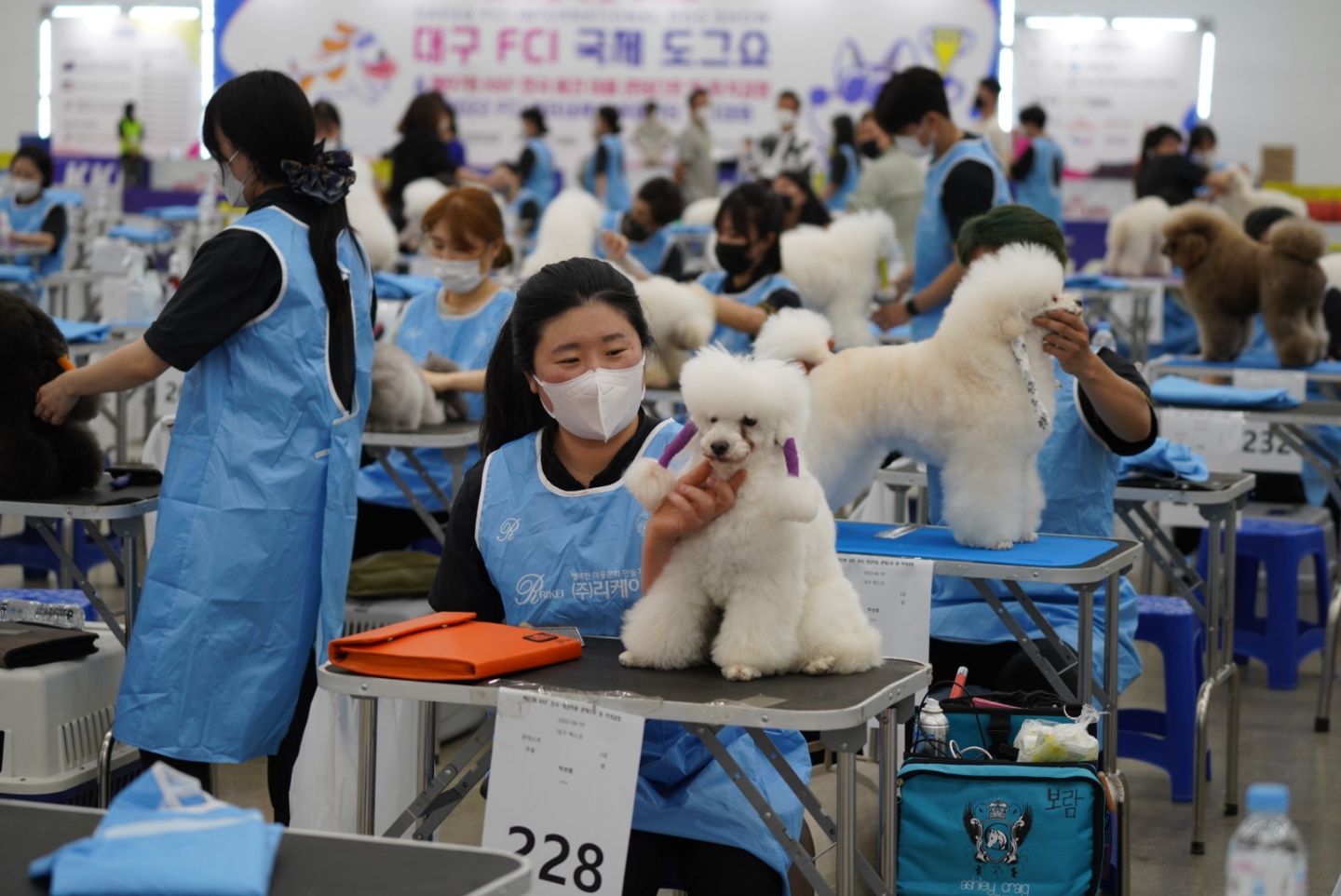 보람그루밍 대표 이미지