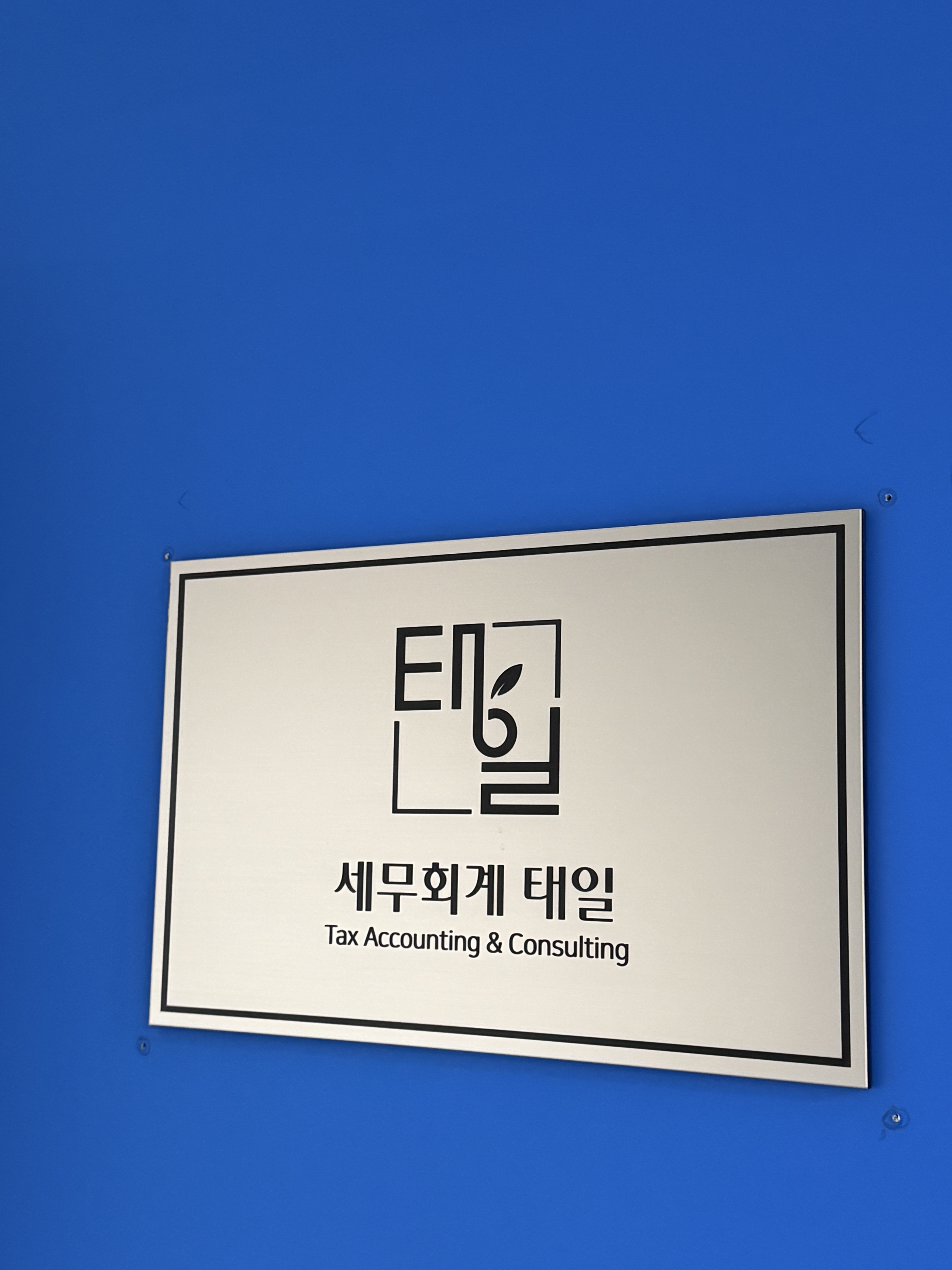 세무회계 태일