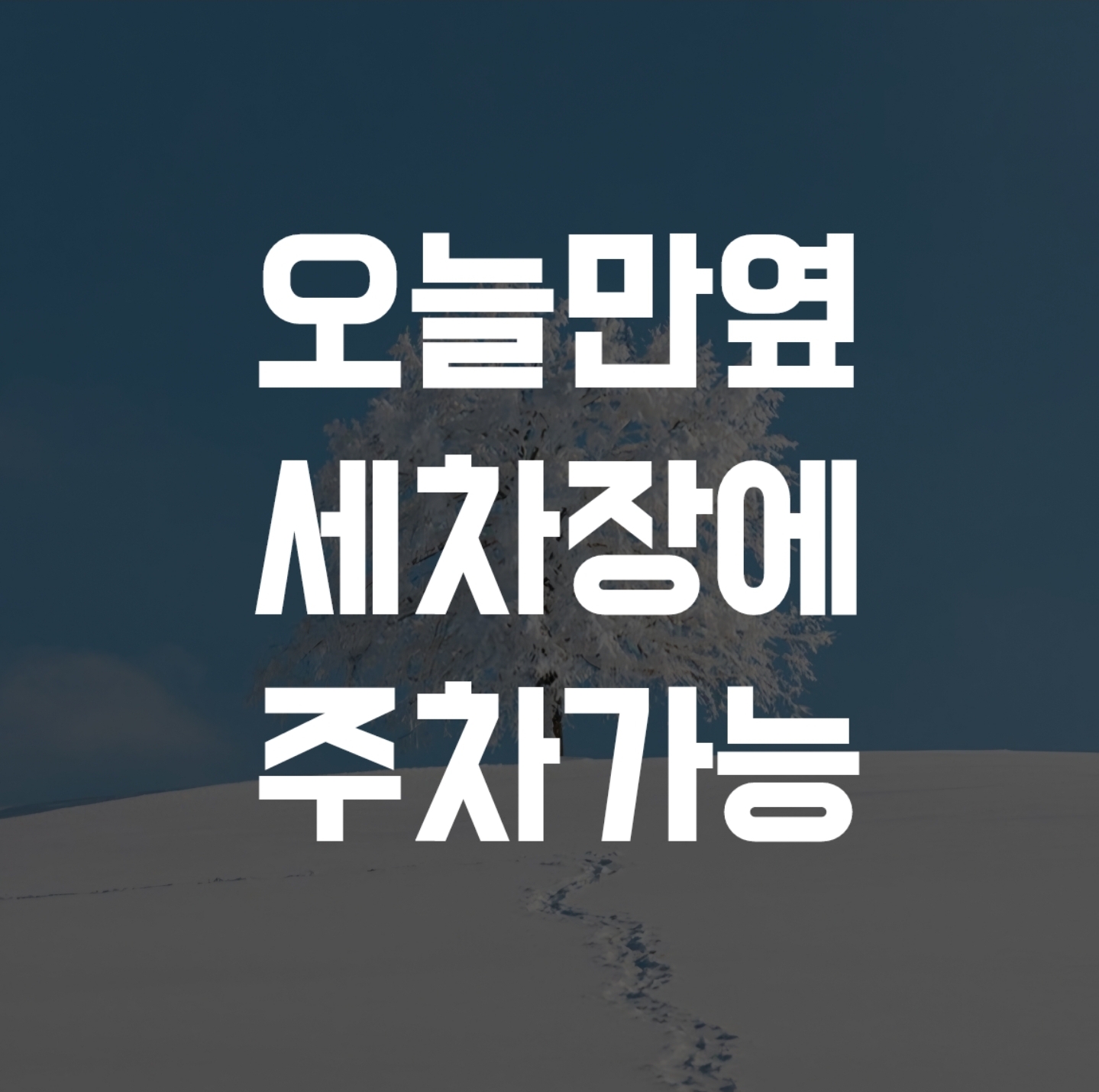 금용