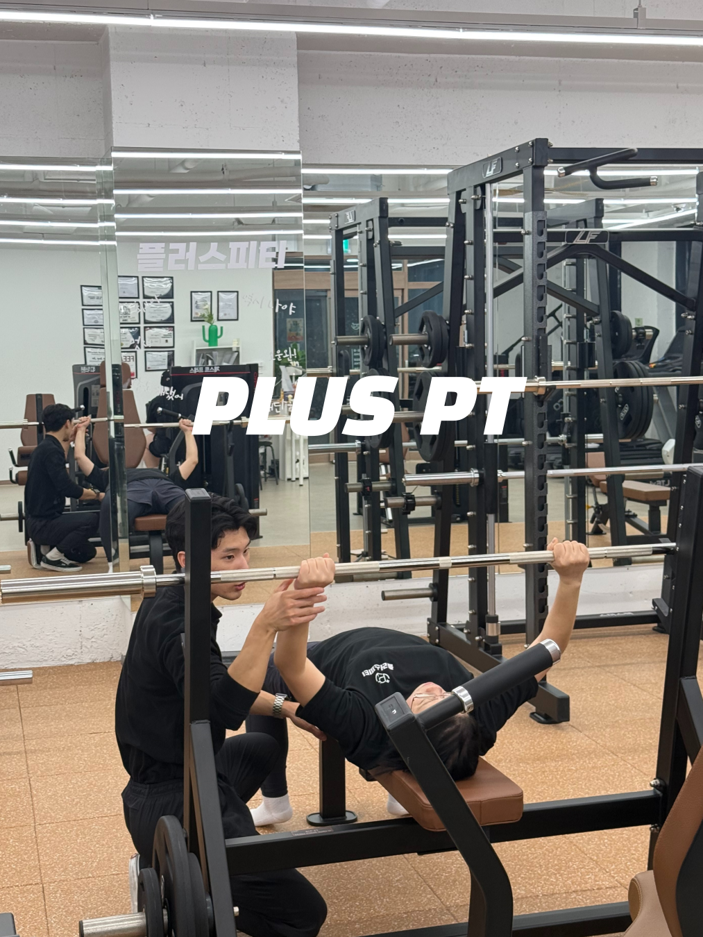 플러스피티