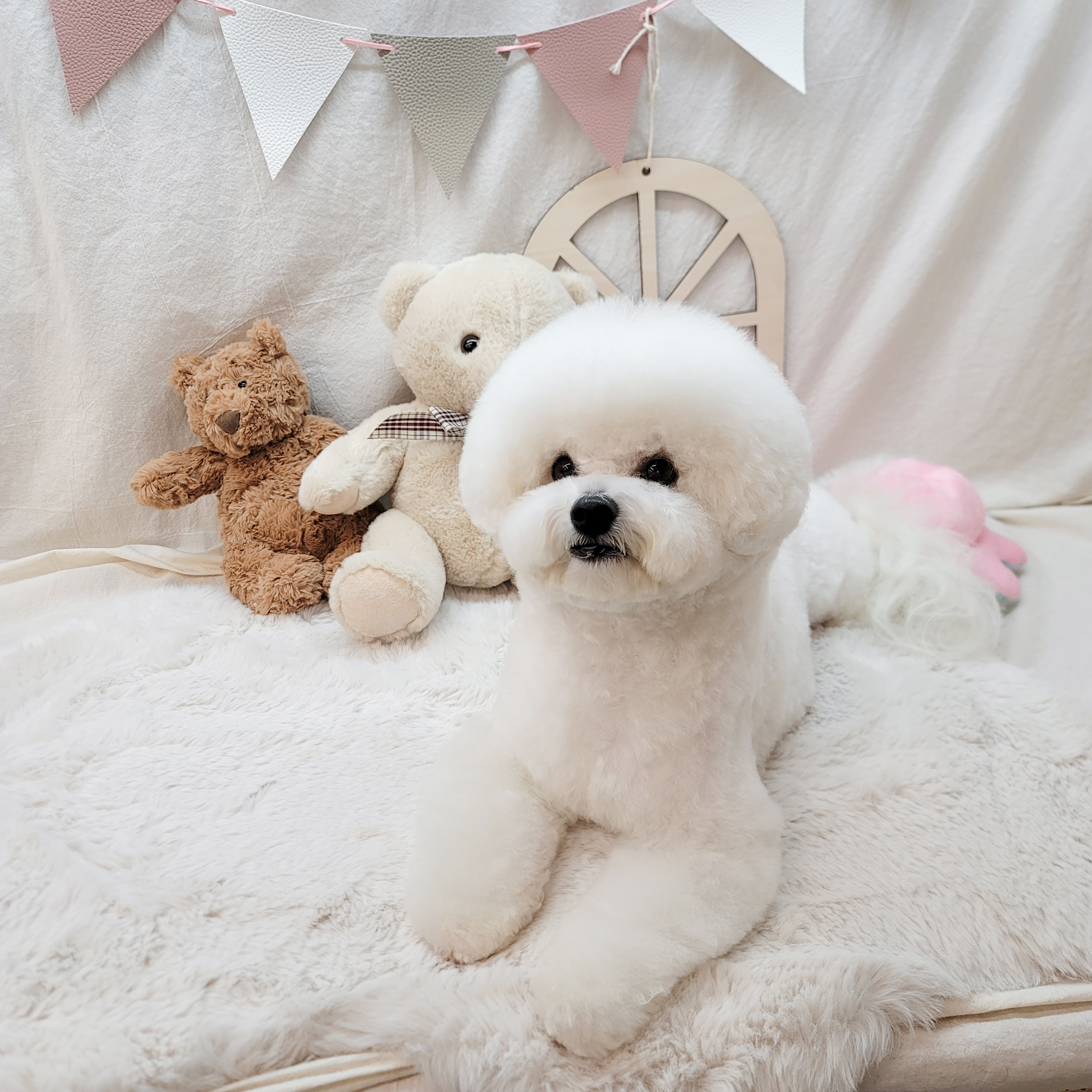 감성그루밍 대표 이미지