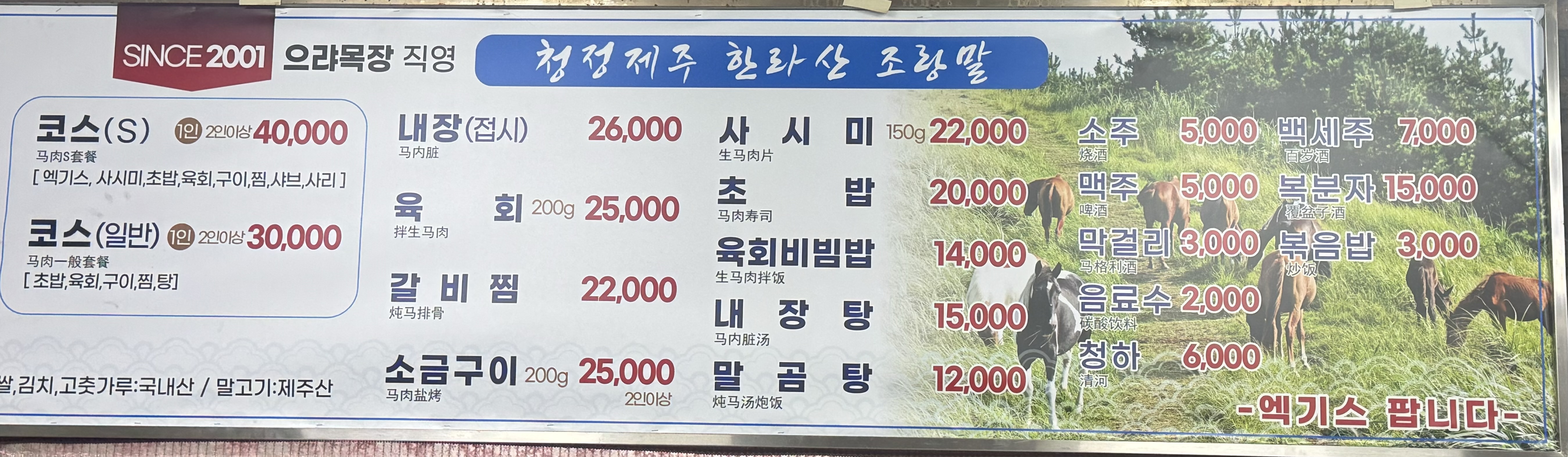 한라산조랑말