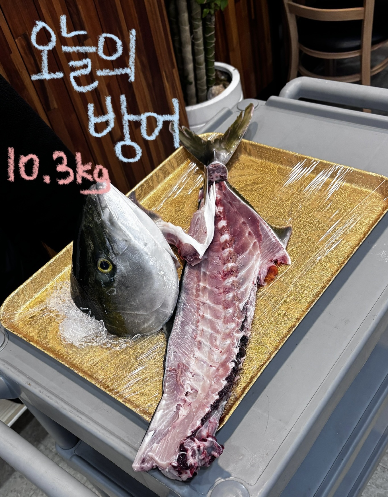 어신일식