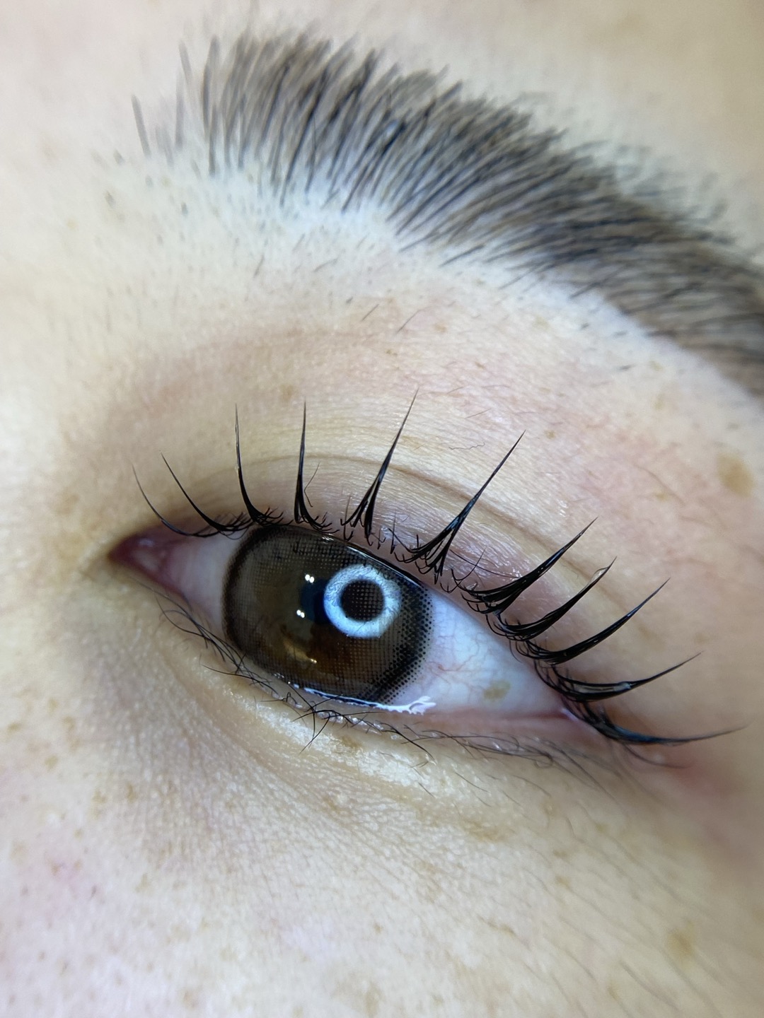 브로우은 대표 이미지