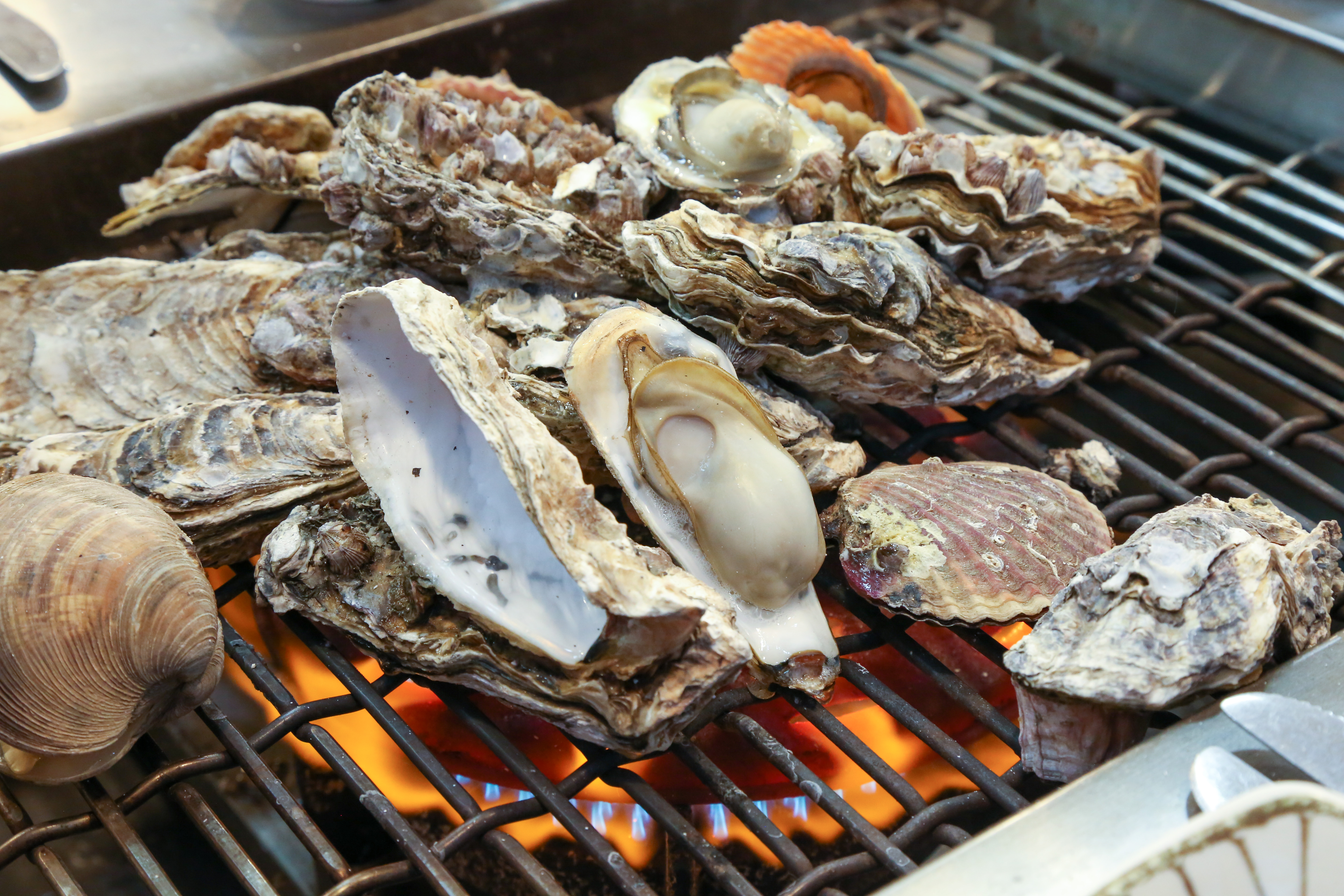 천북굴단지 천북굴따라식당