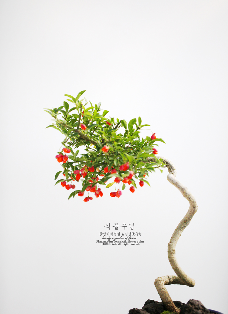 영남꽃농원