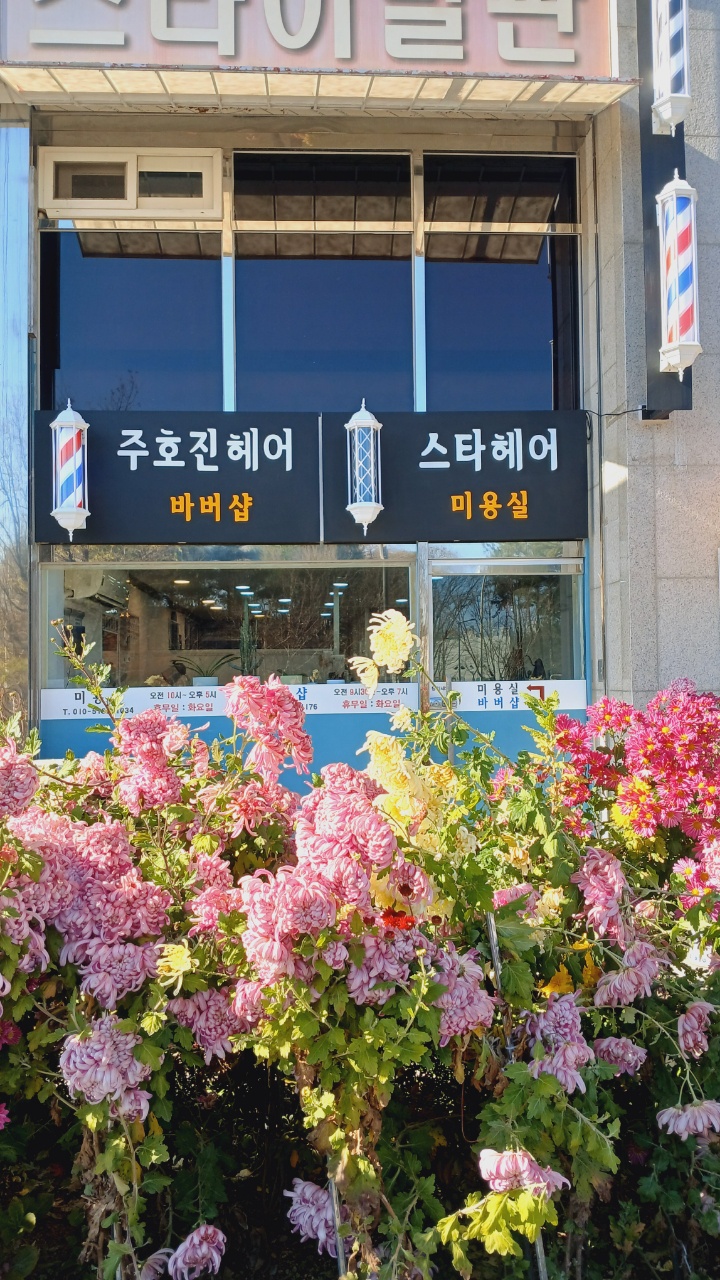 스타헤어