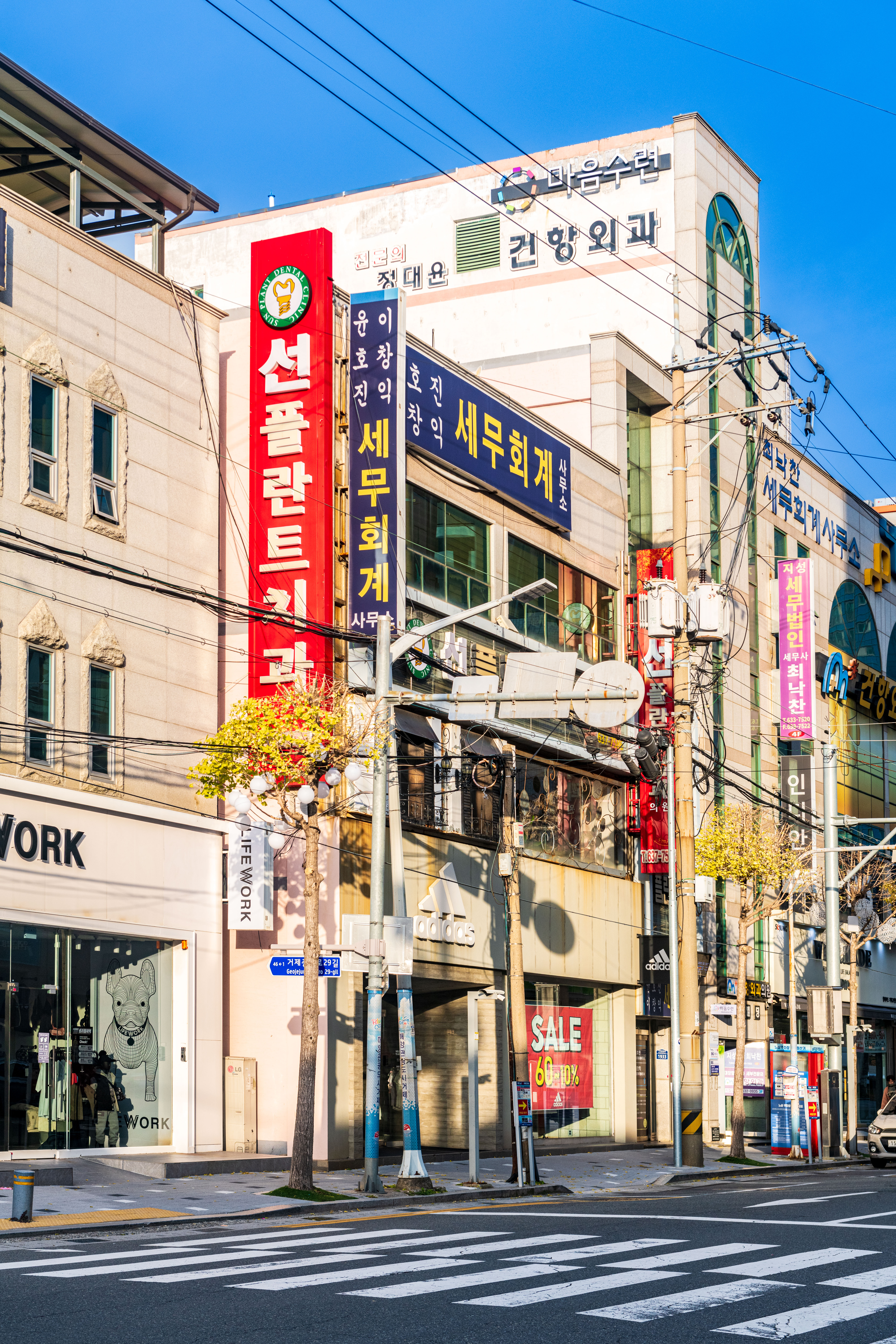 선플란트치과의원