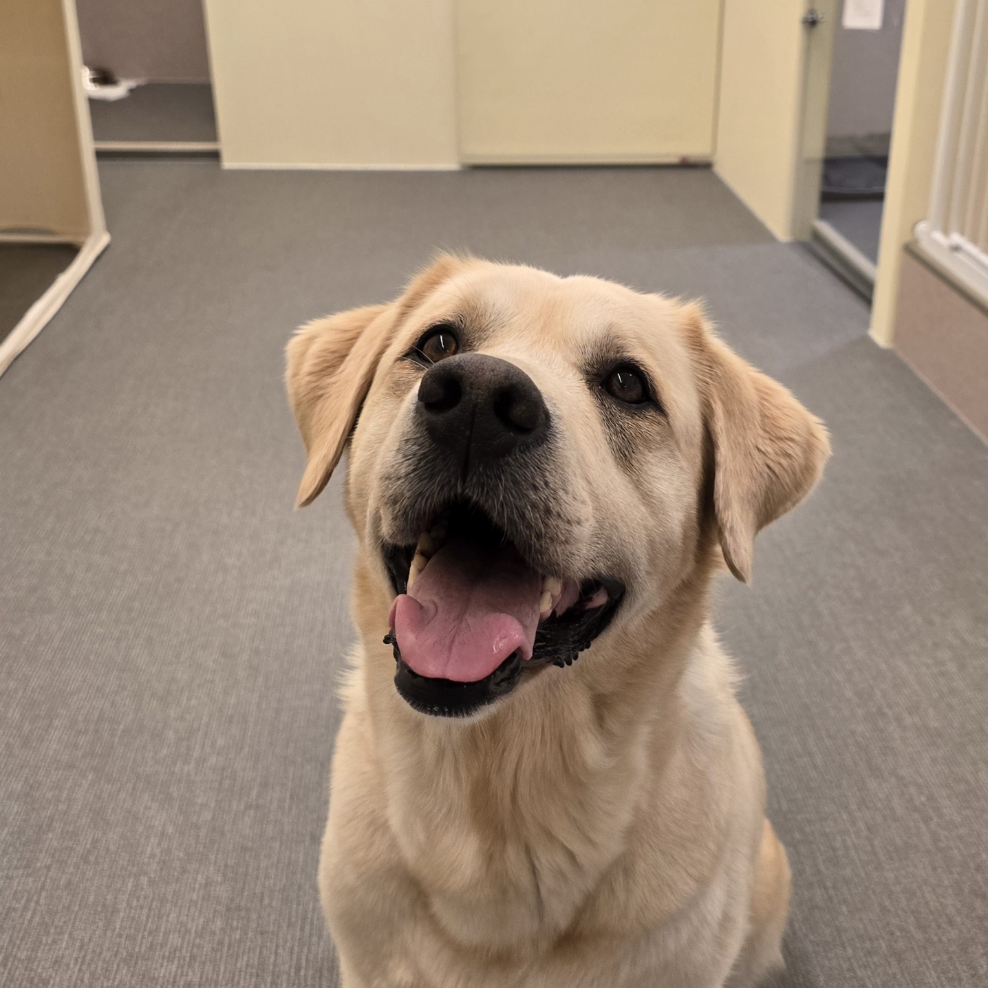 조이네집 대표 이미지