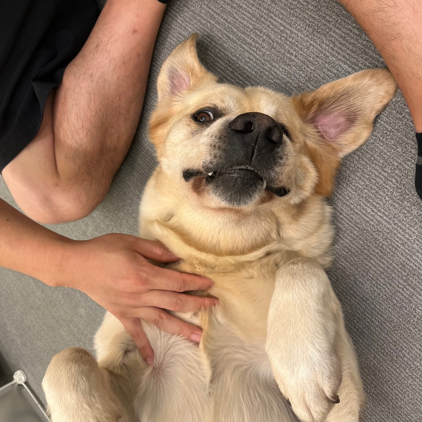 조이네집 대표 이미지