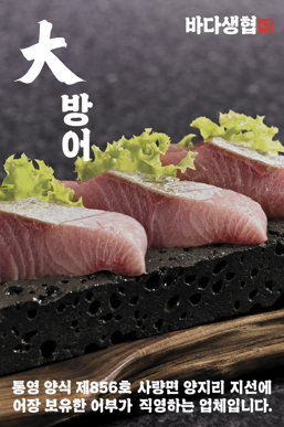 바다생협 대광어 강남본점