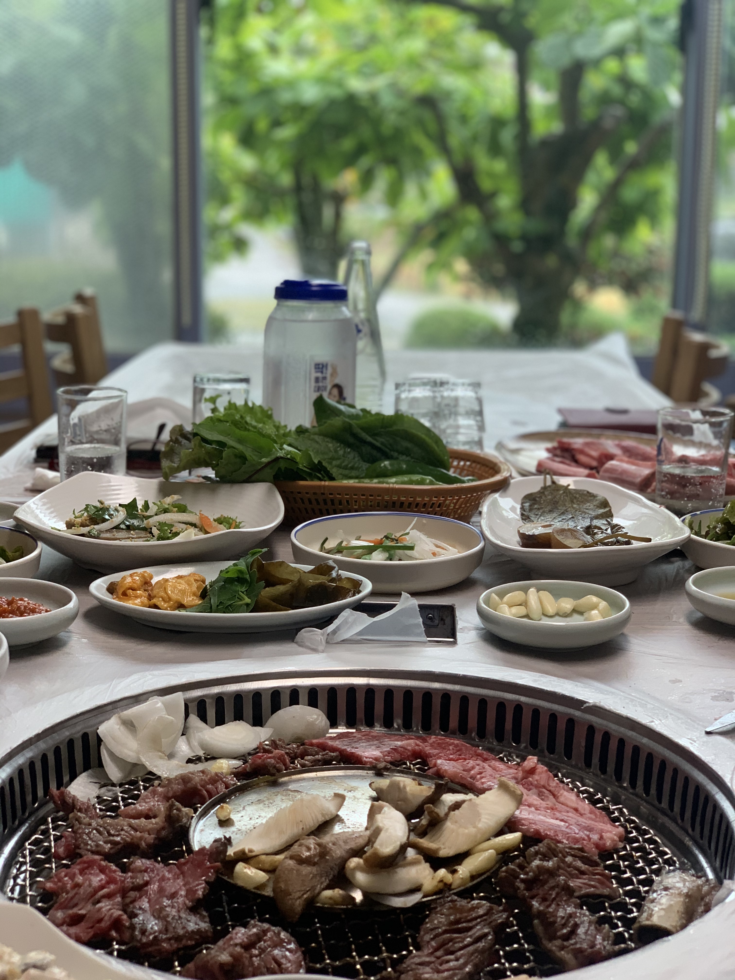 대가저수지가든