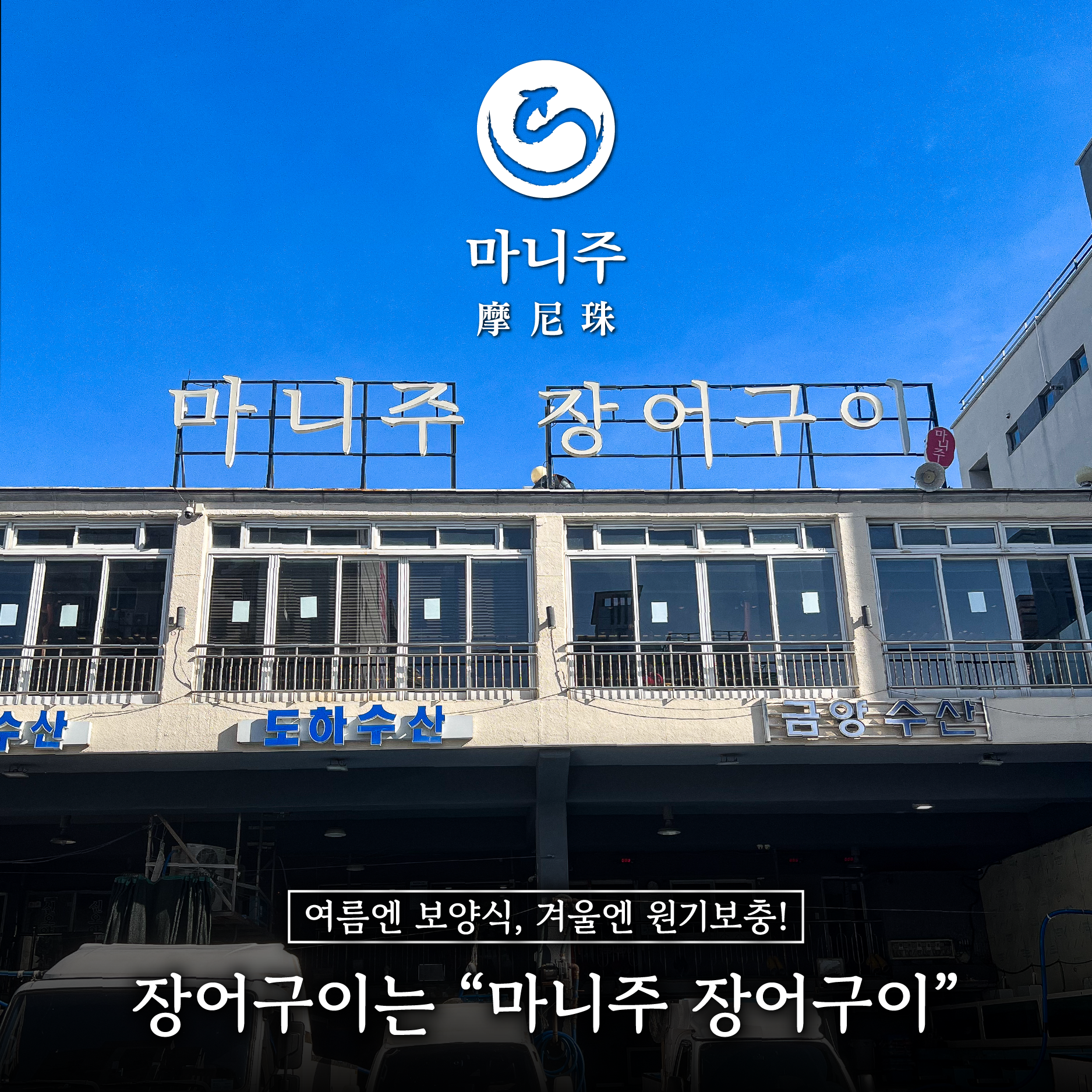 마니주