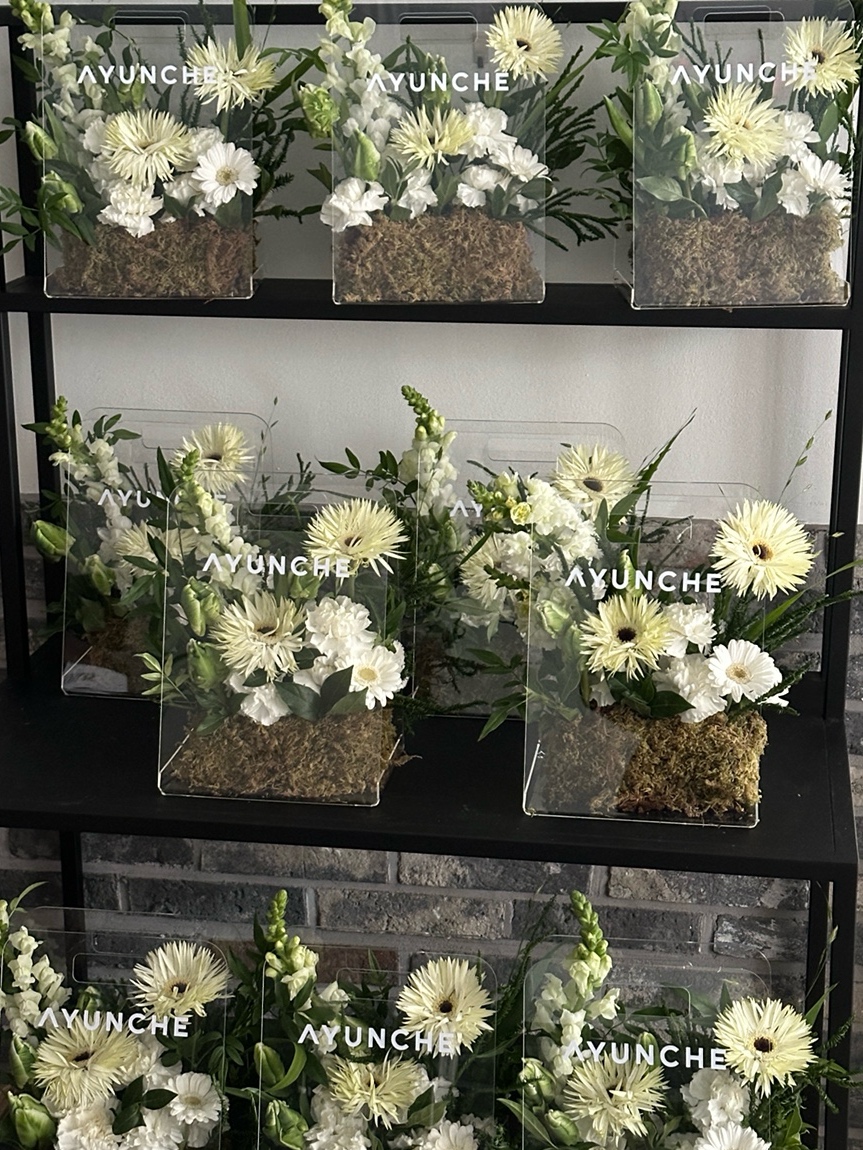 세영플루디오