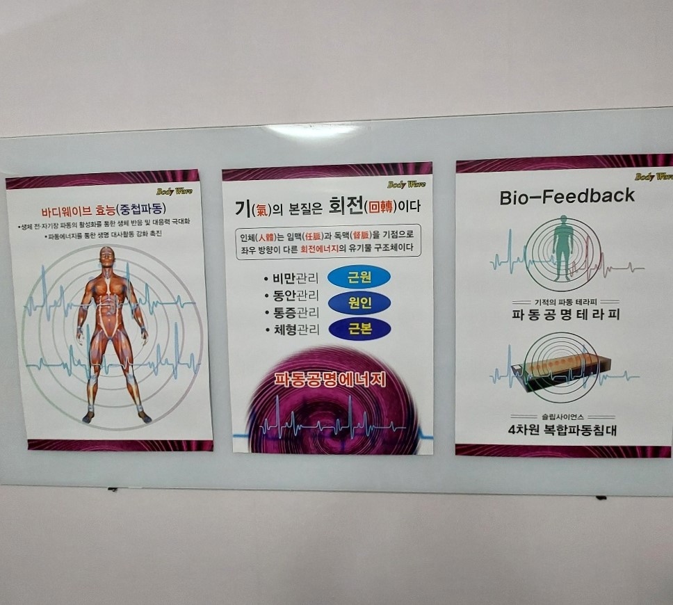 바디웨이브 파동테라피 대전점
