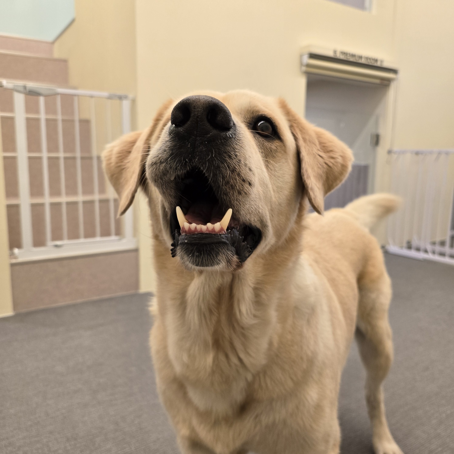 조이네집 대표 이미지