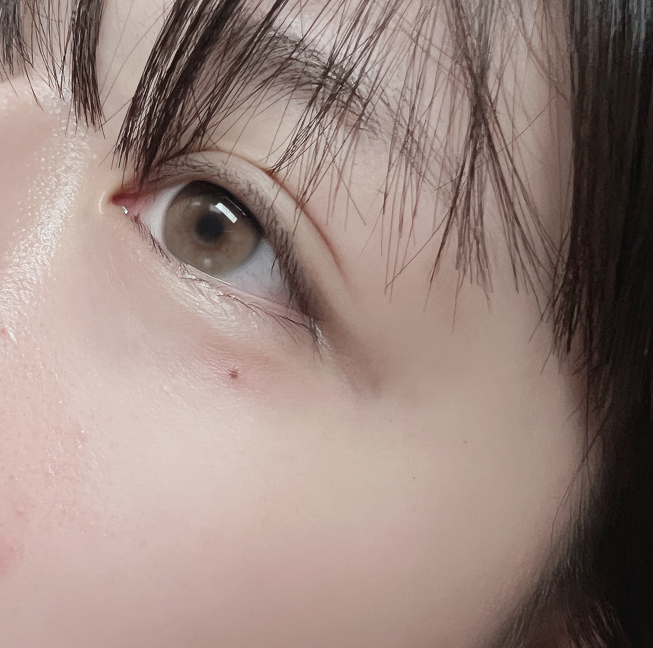 온뷰티샵 눈썹/속눈썹