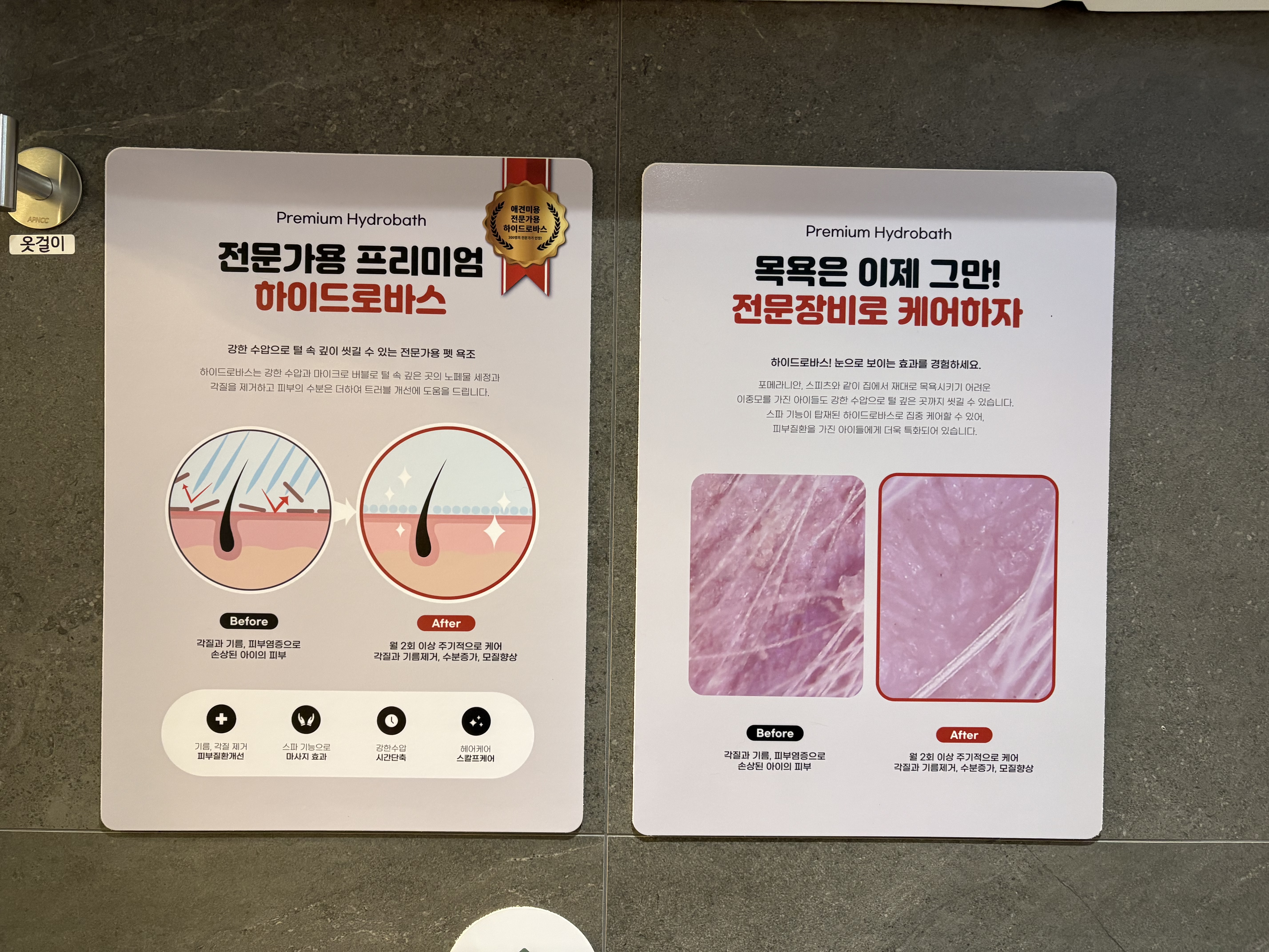 마인드 인 펫 대표 이미지