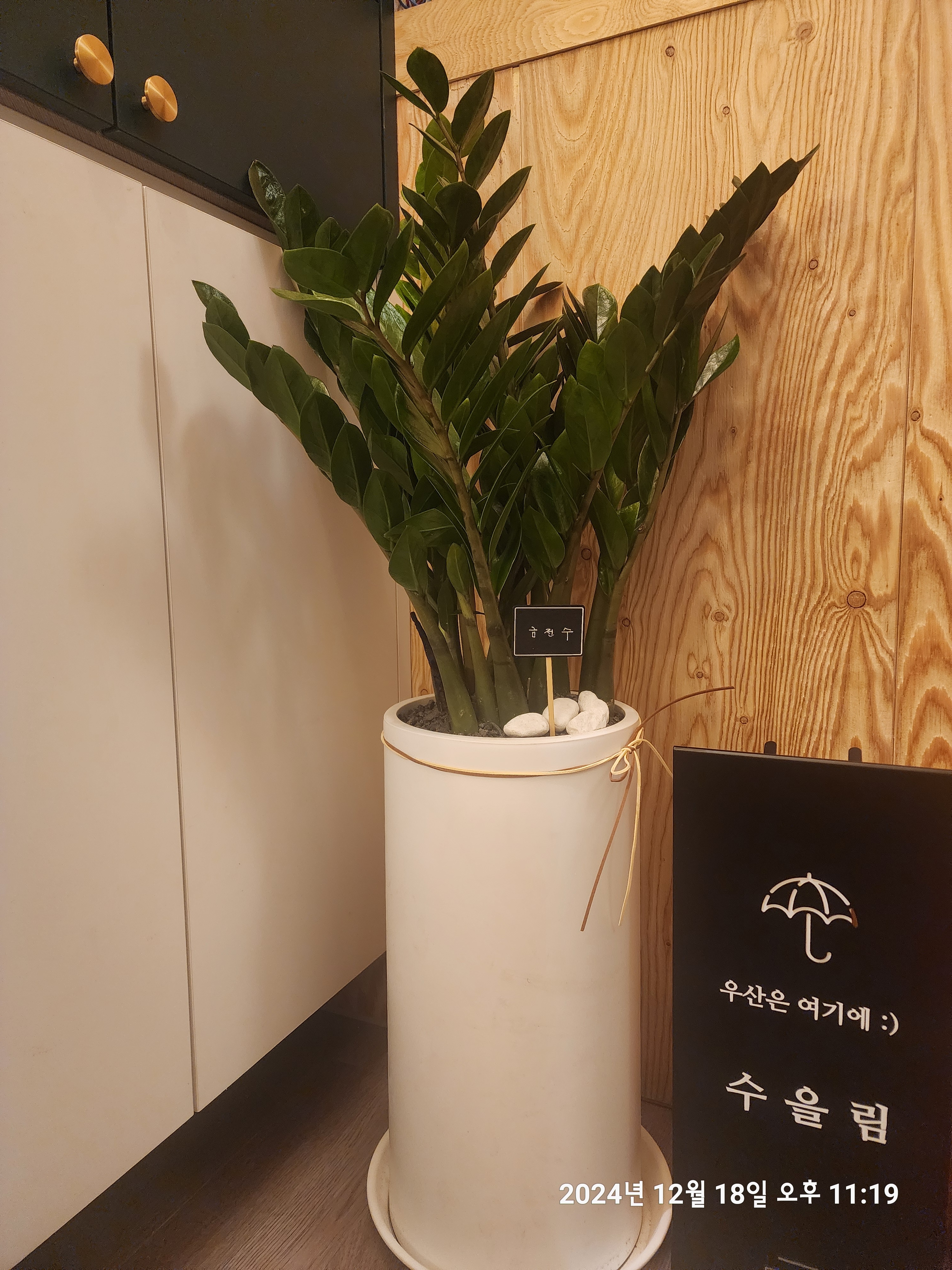 수을림 photo 5