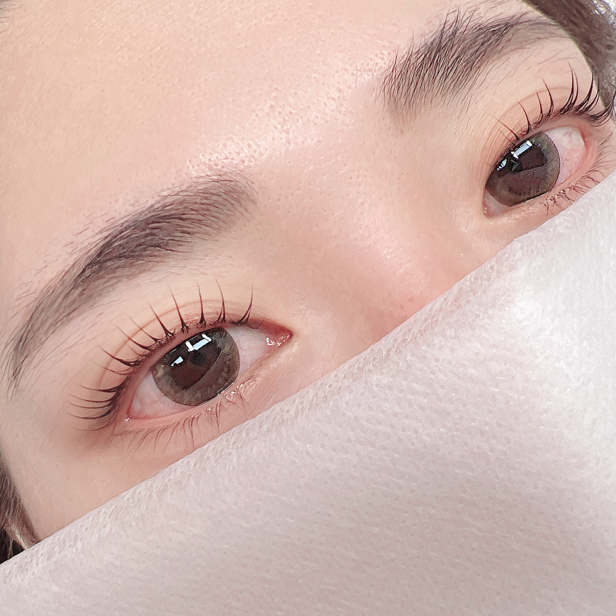 온뷰티샵 눈썹/속눈썹