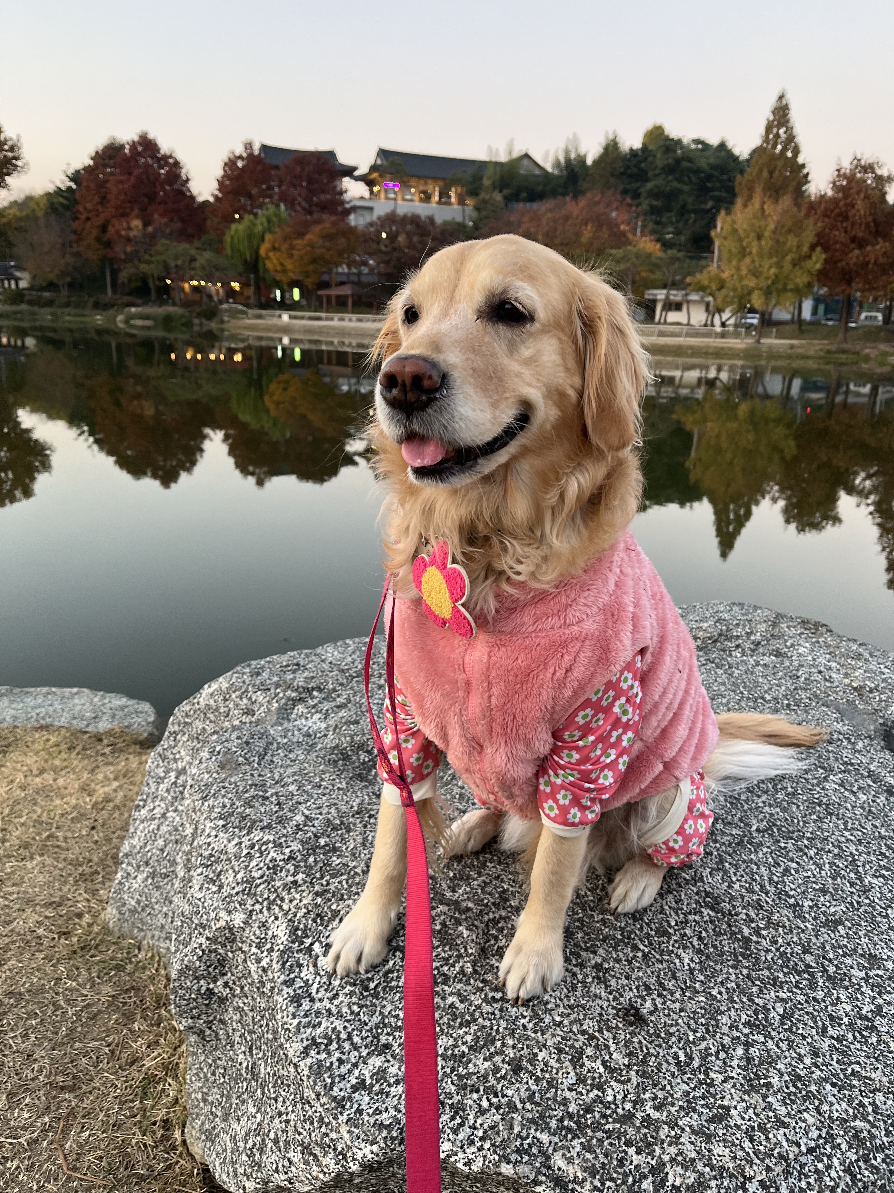 조이네집 대표 이미지