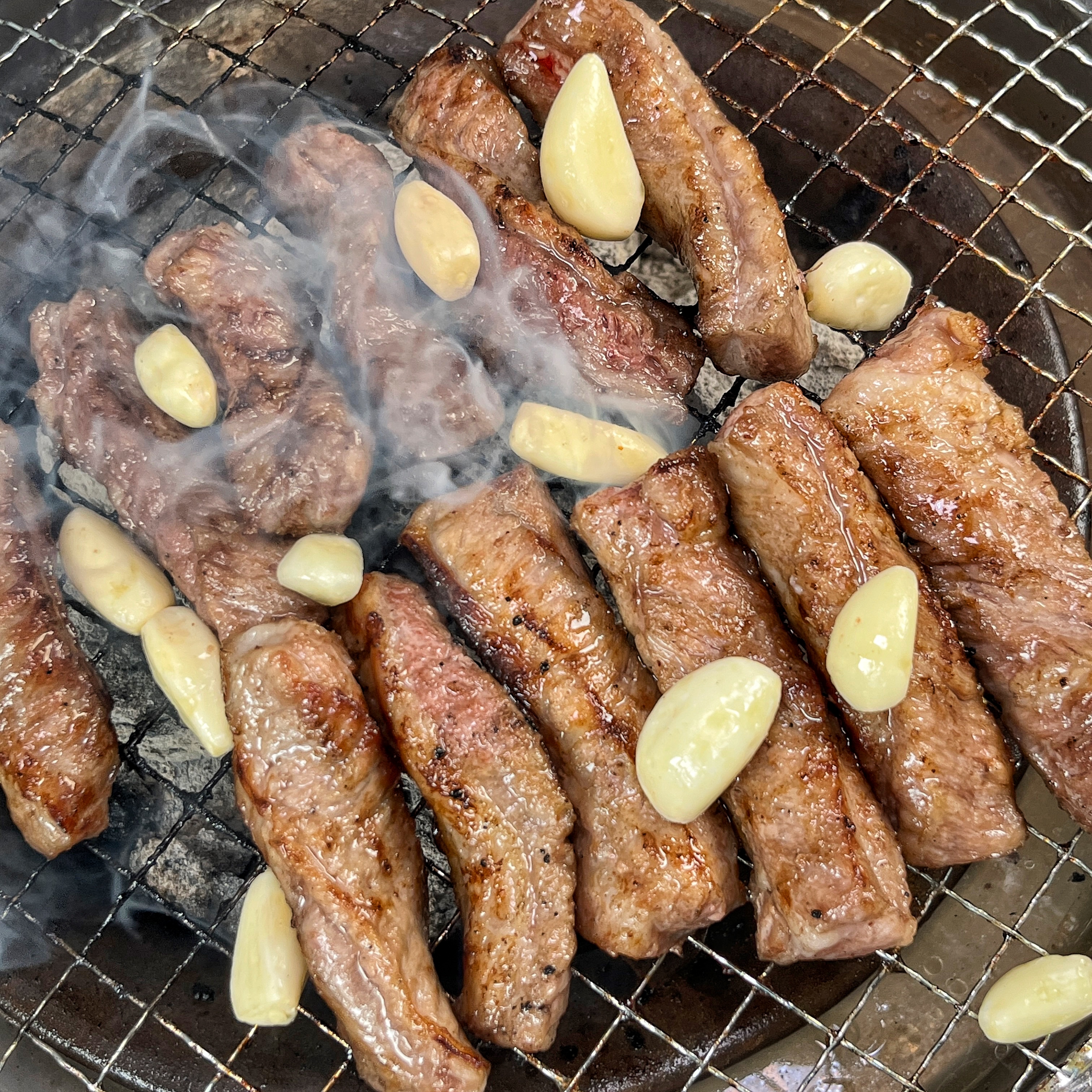 육팩트타운 반려동물 동반 애견카페