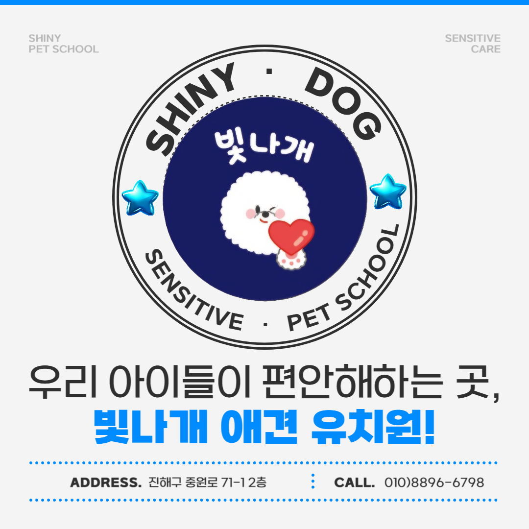 빛나개애견 유치원