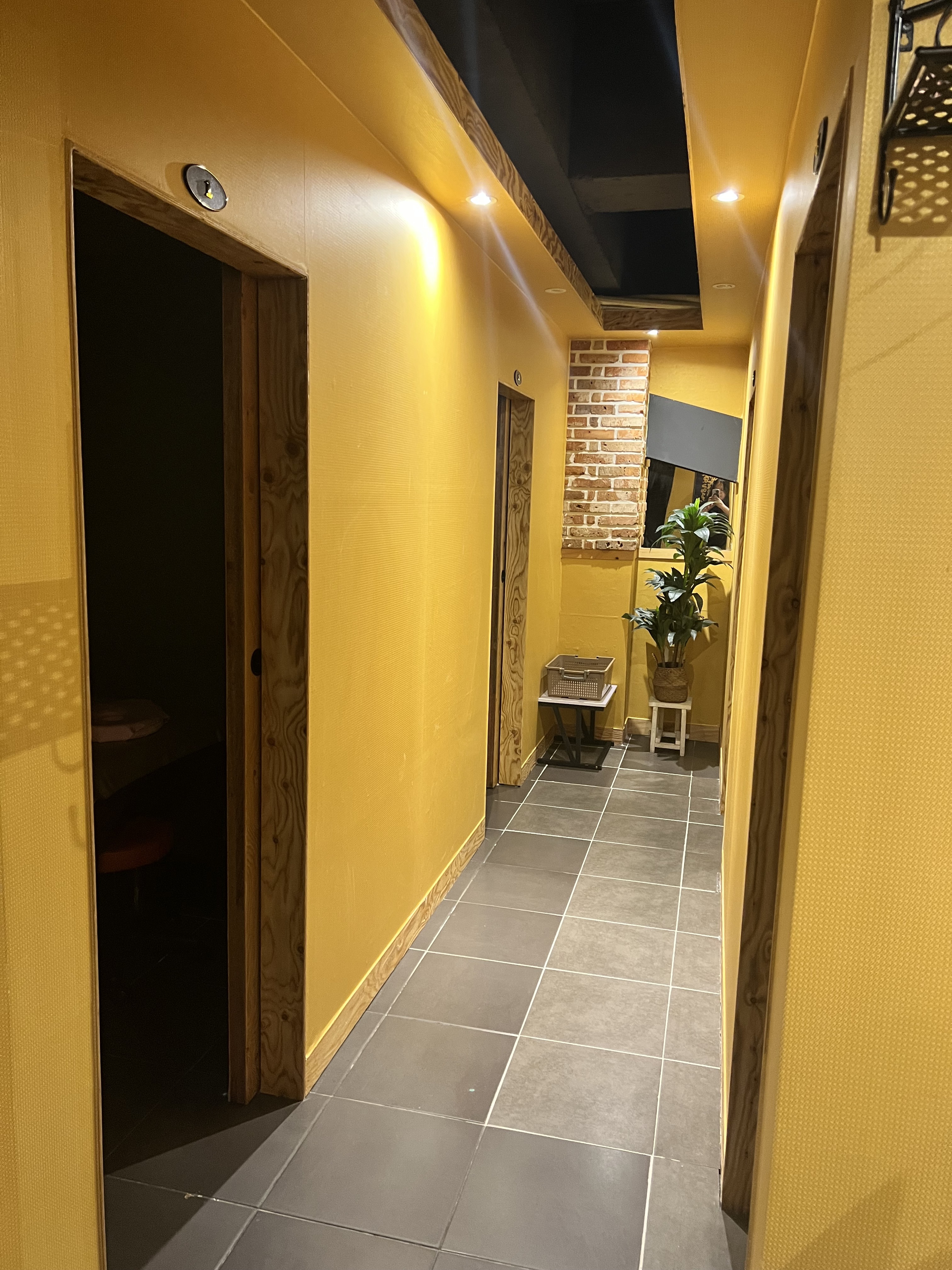 황금 photo 5