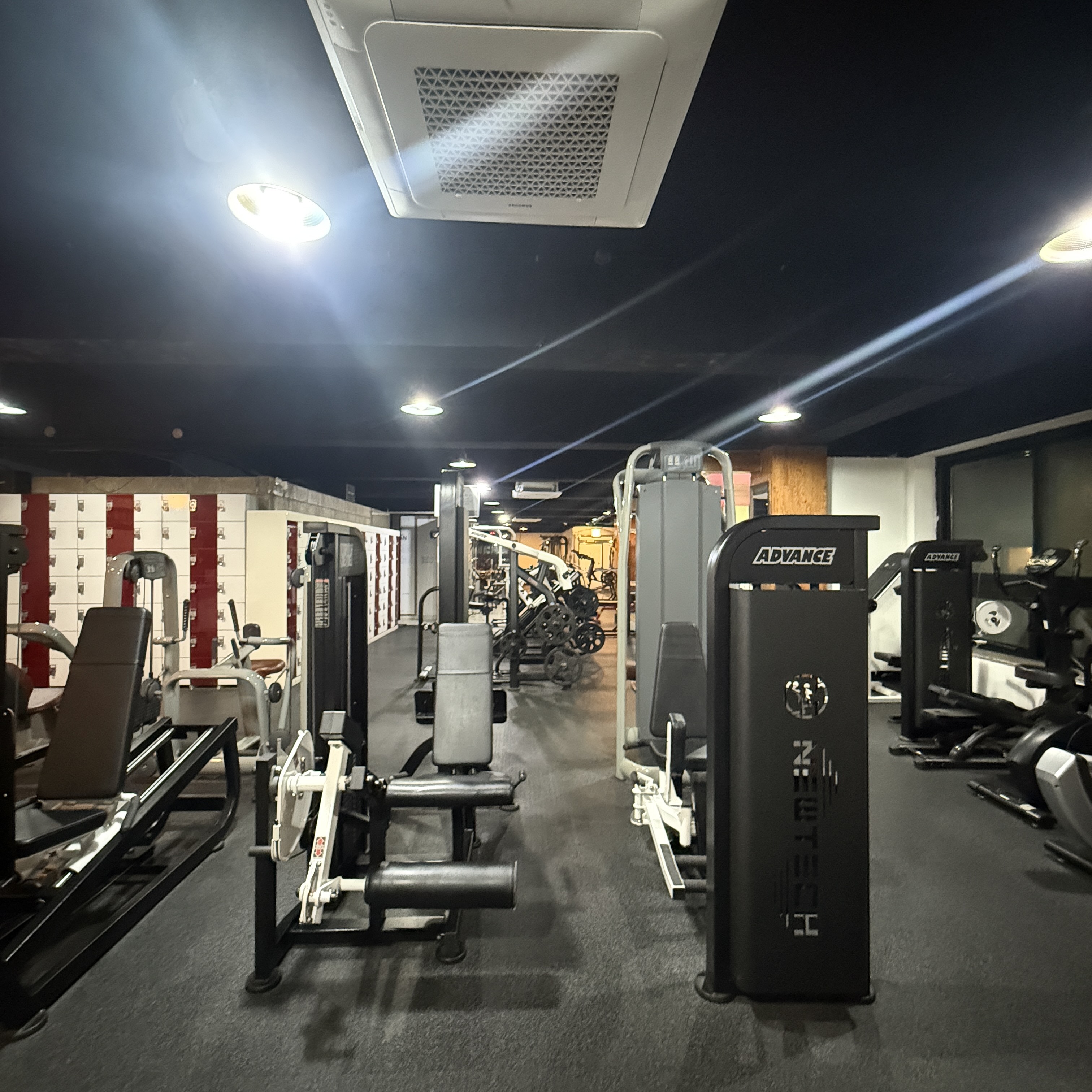 머슬시티 대표 이미지