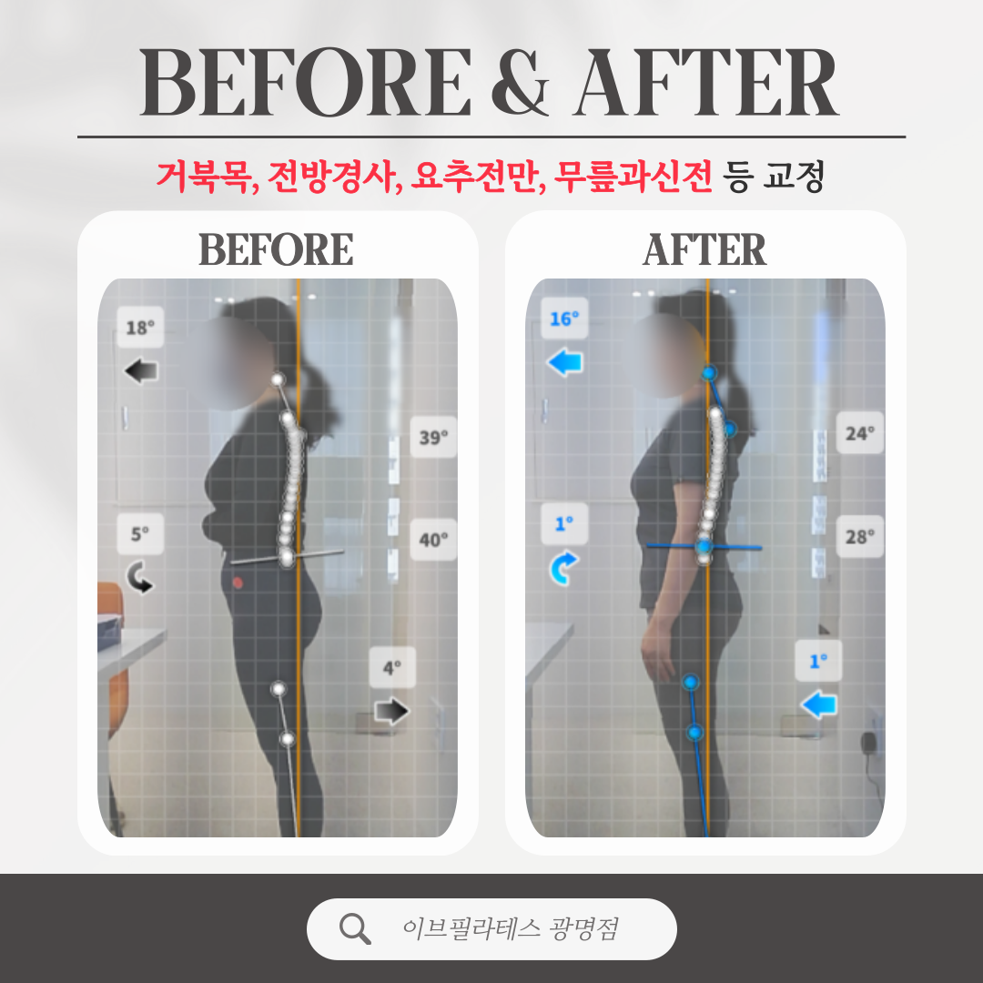 이브필라테스 대표 이미지
