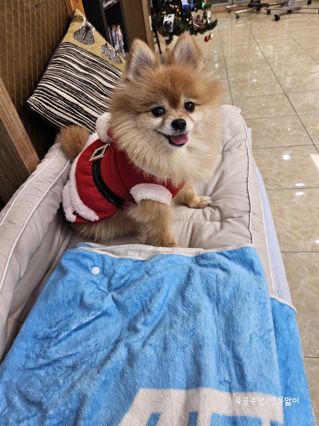 헤라헤어살롱